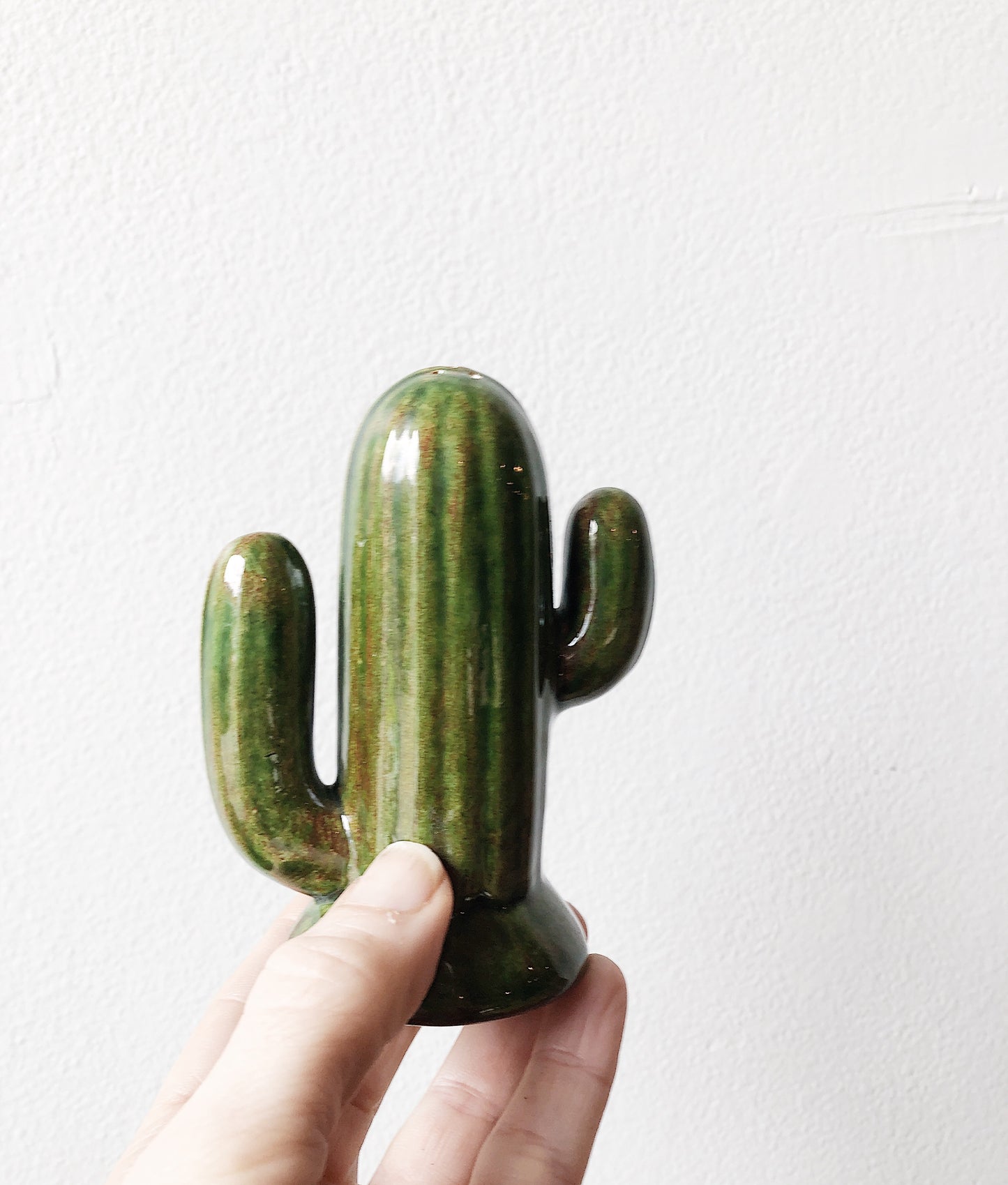 Pair of Vintage Cactus Salt and Pepper Shakers