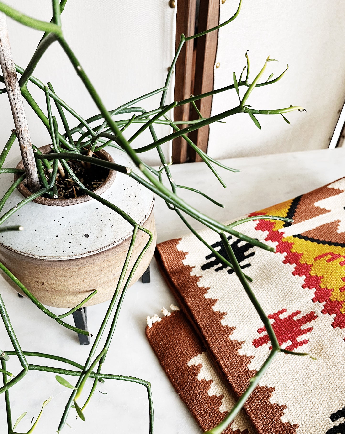 Euphorbia Tirucalli in Vintage Pottery with Stand