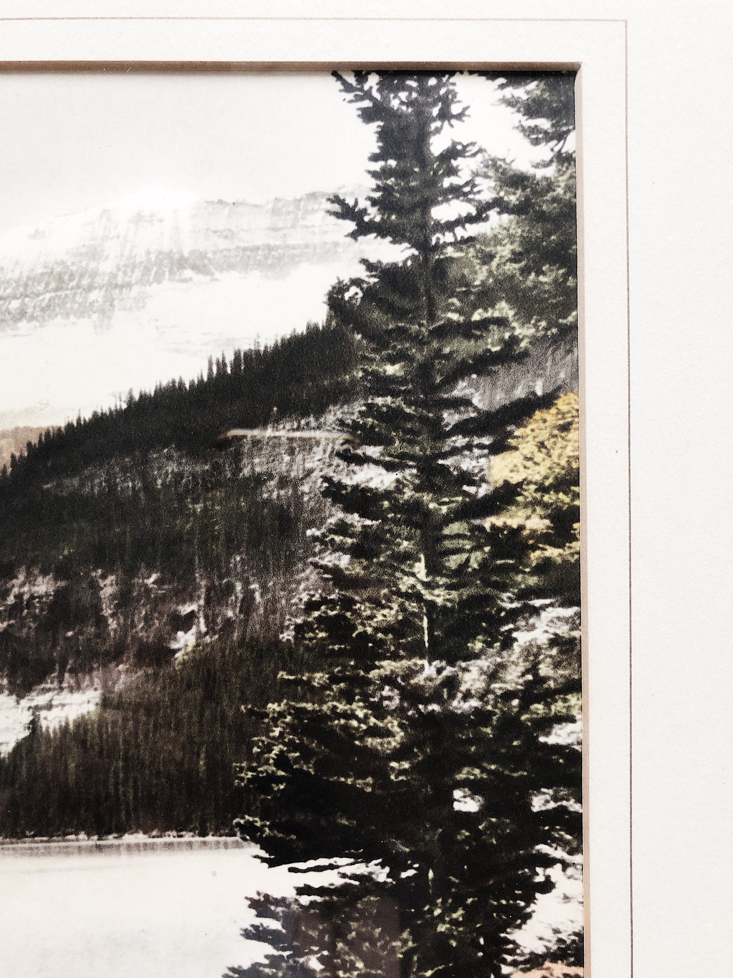 Antique Hand Tinted Landscape