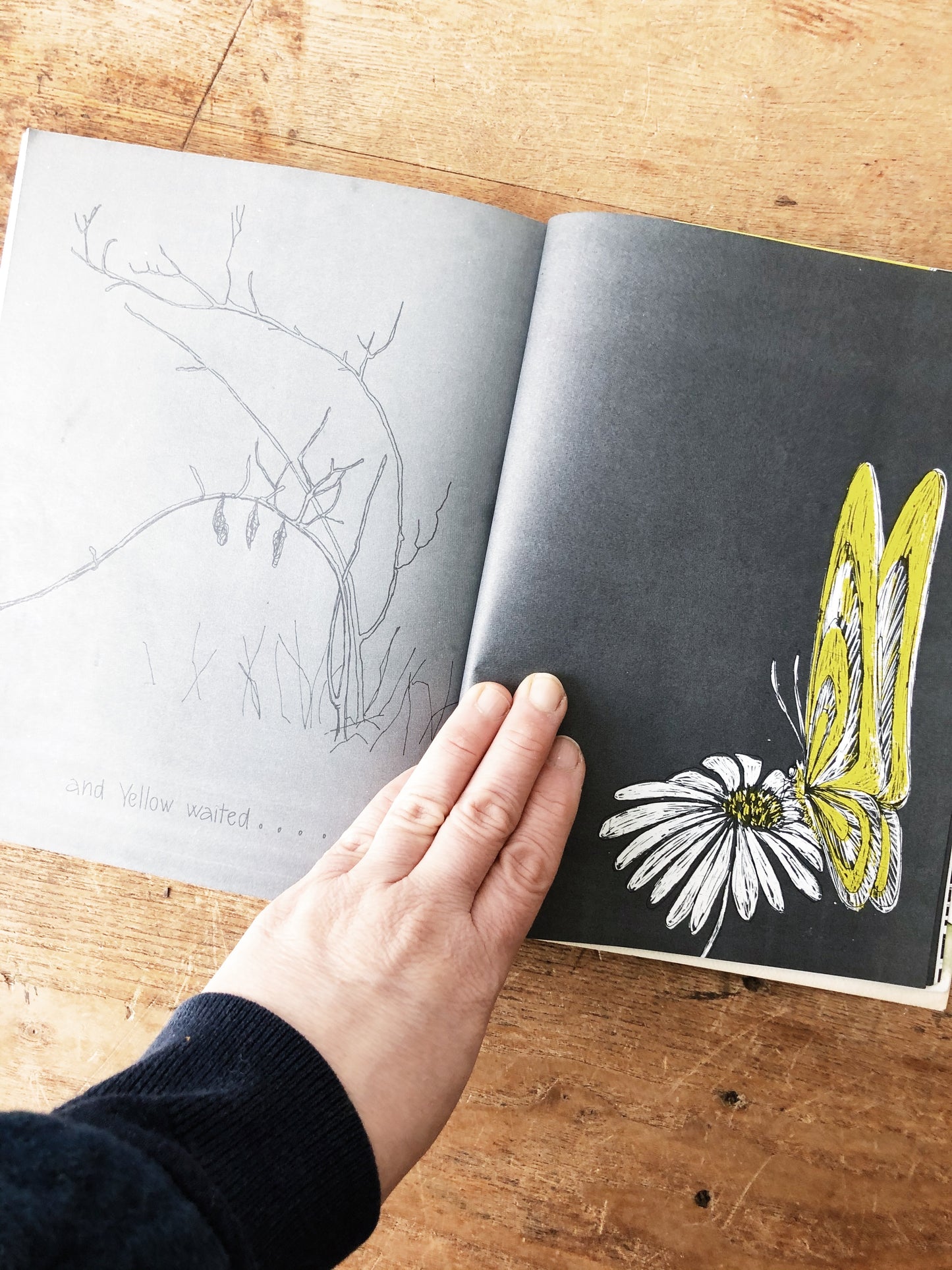 Hope for the Flowers