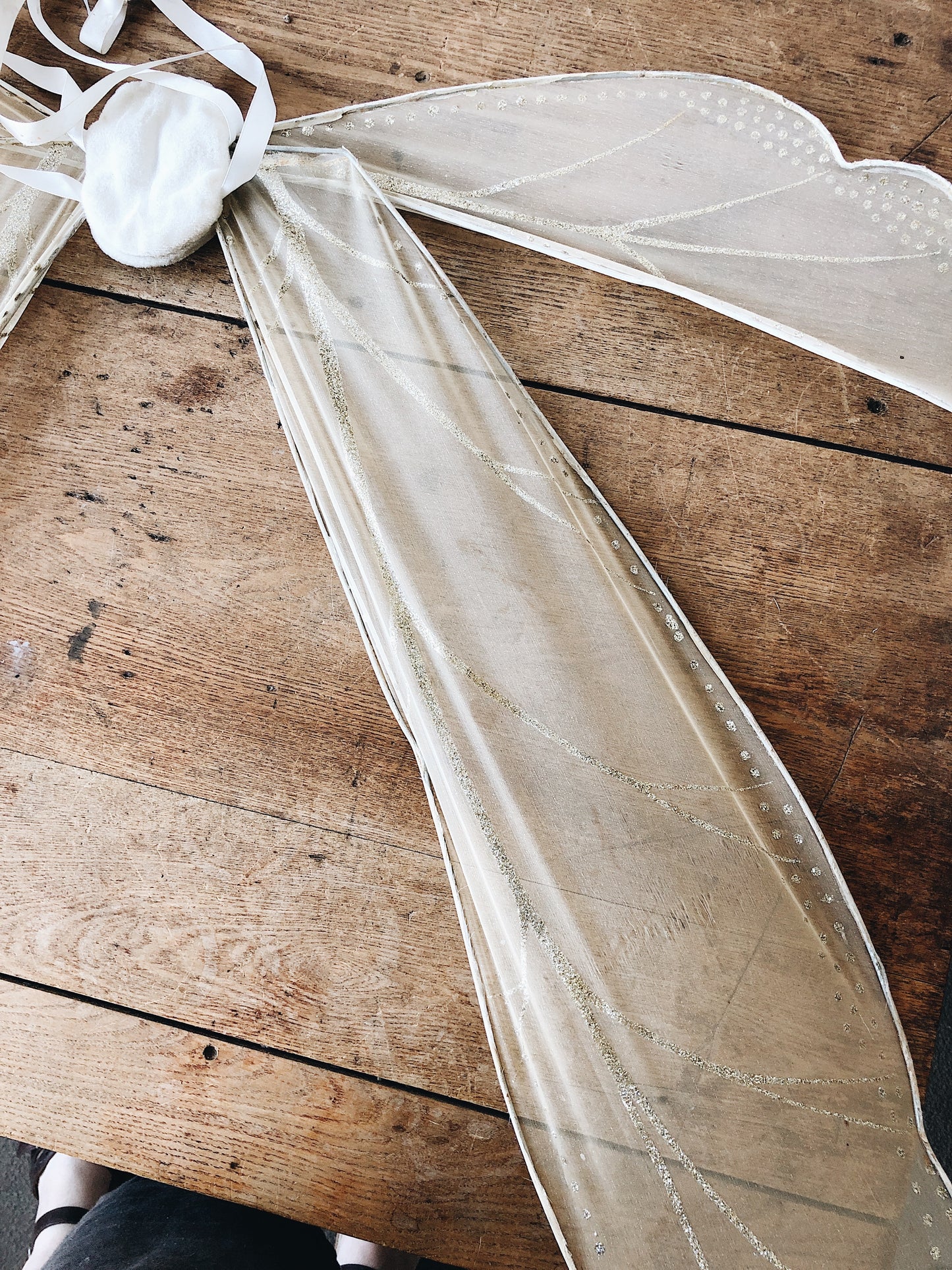 Vintage Butterfly Wings