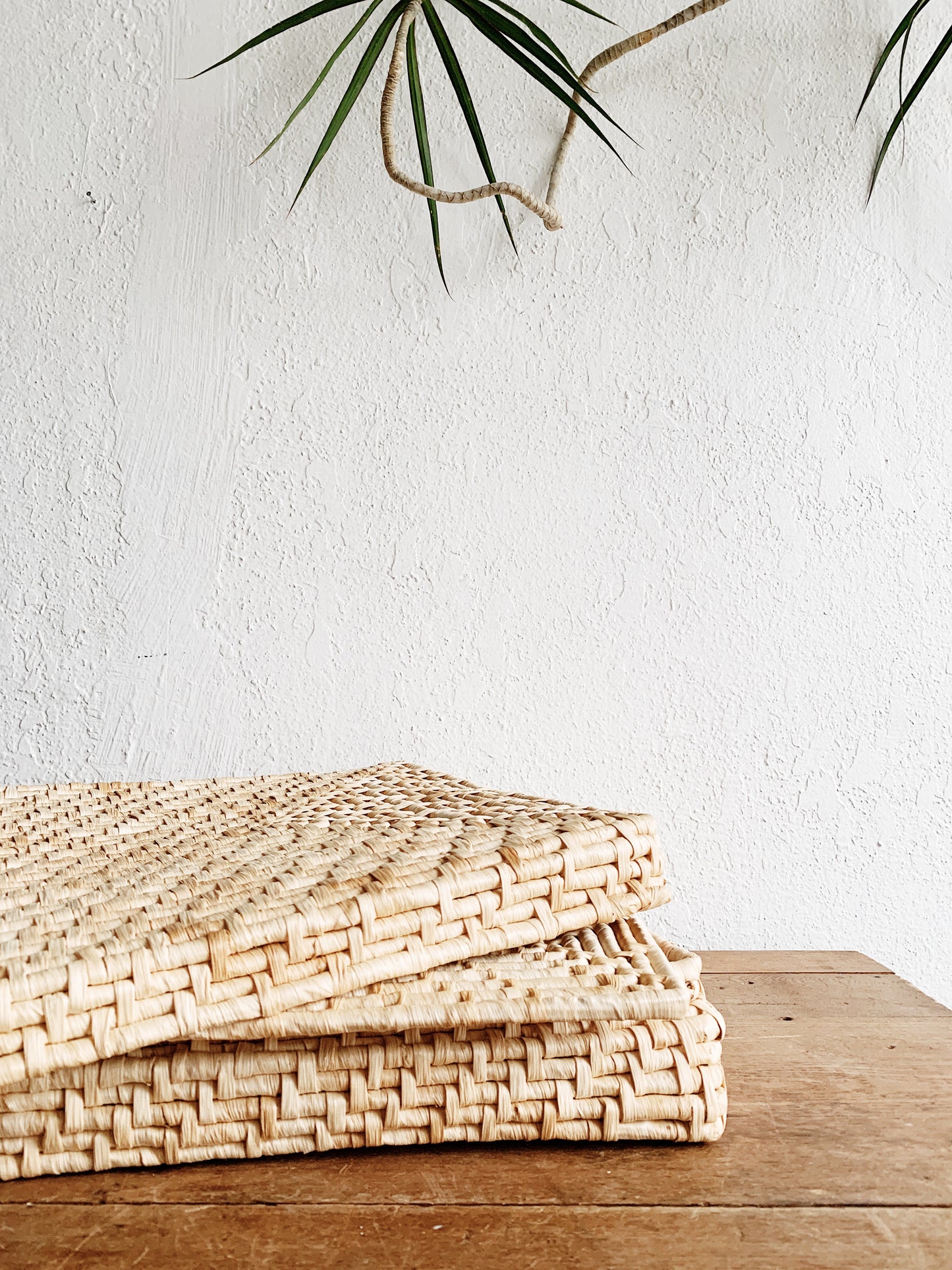 Set of Woven Placemats