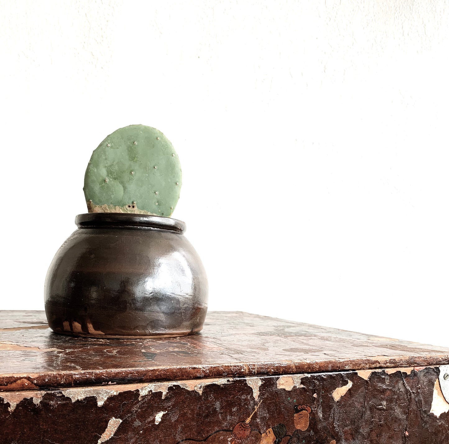 Potted Opuntia in Vintage Crock