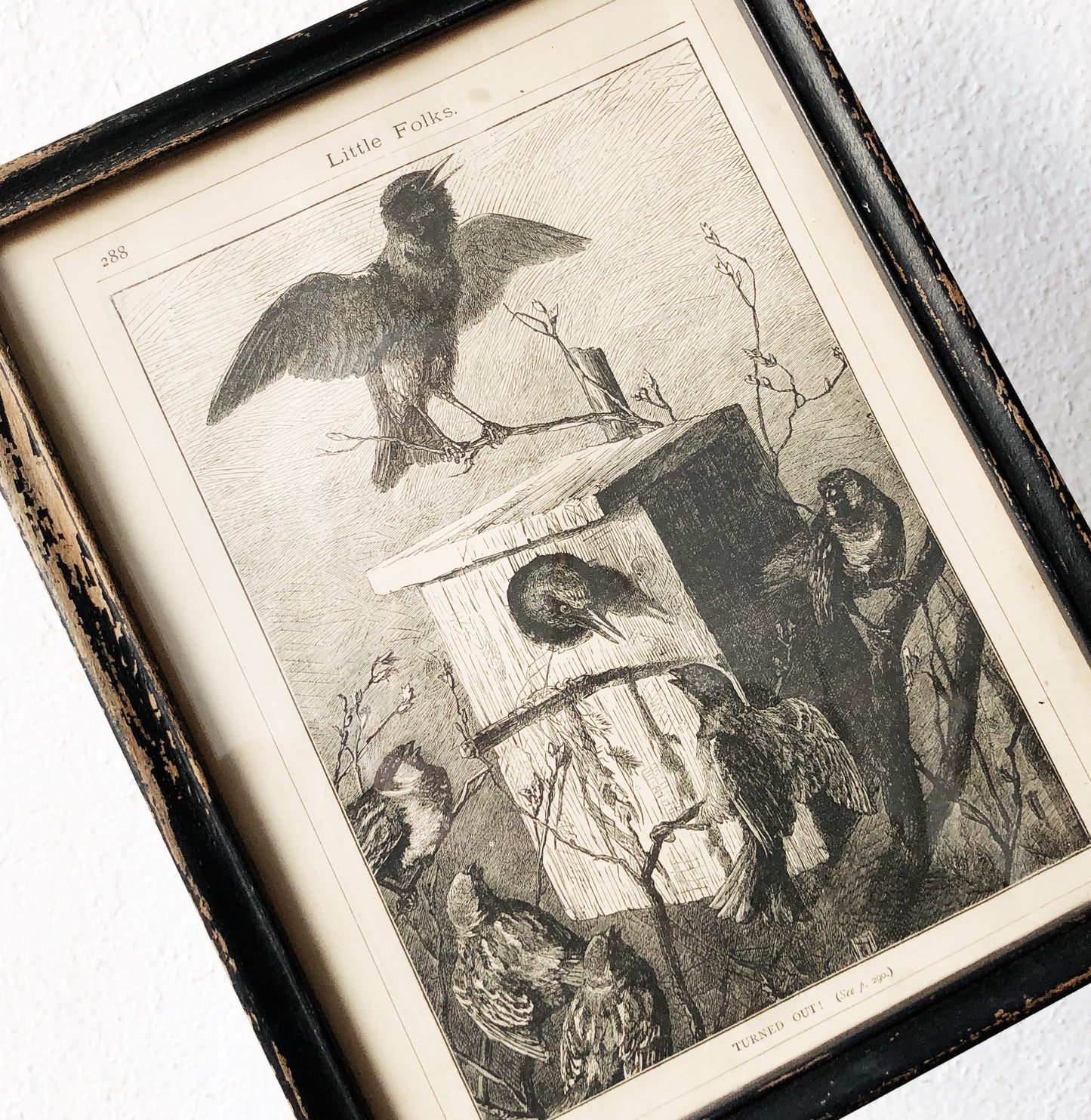 Antique Avian Lithograph