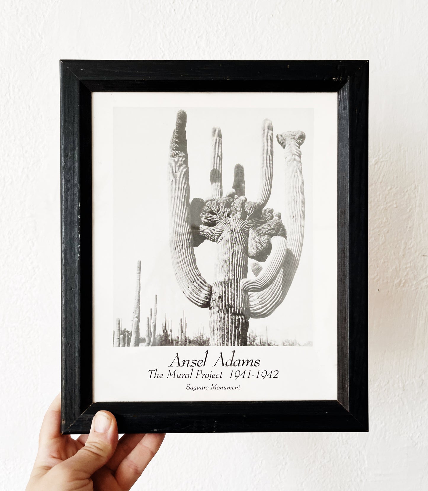 Vintage Ansel Adams Framed Plate