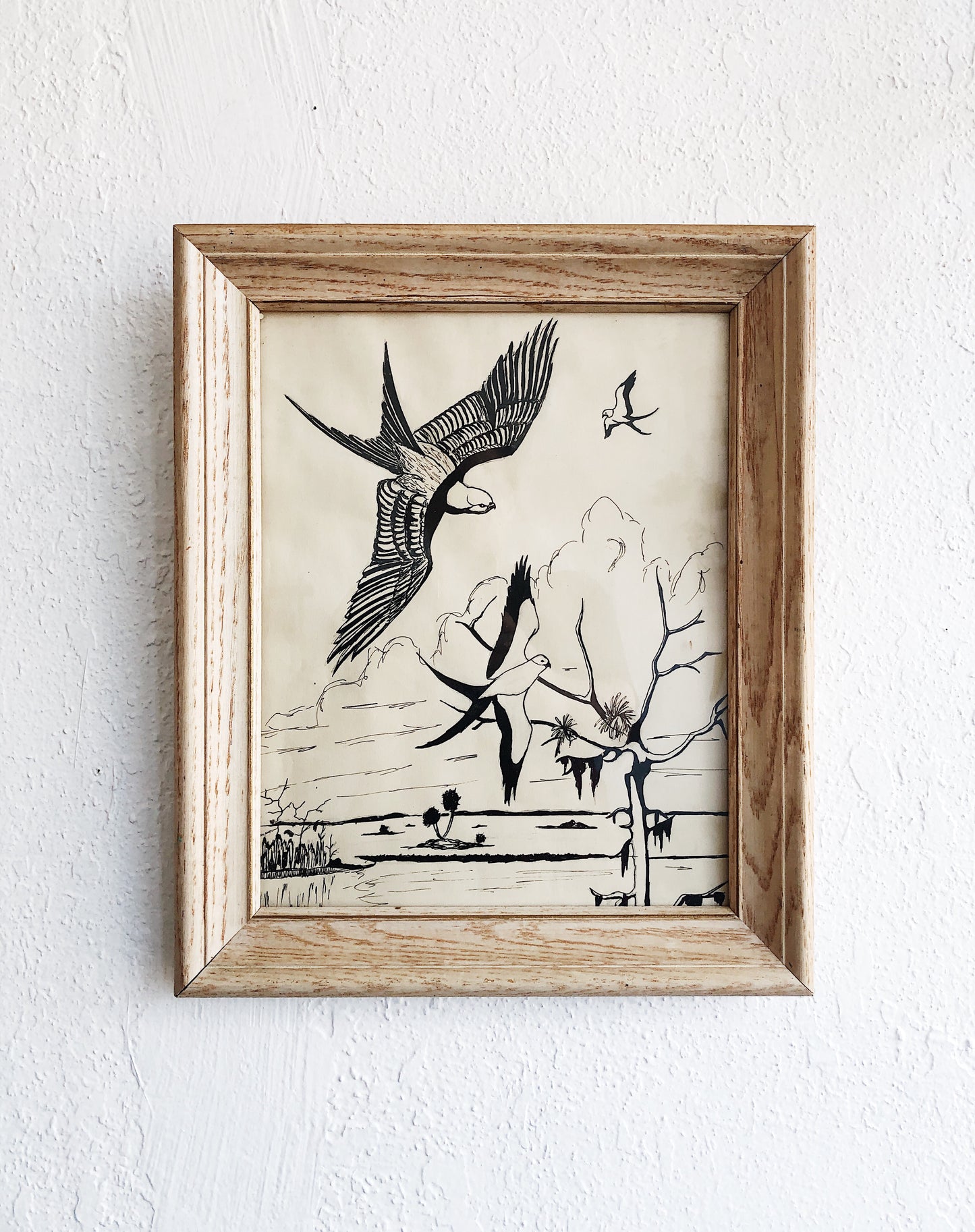 Vintage Birds Pen and Ink