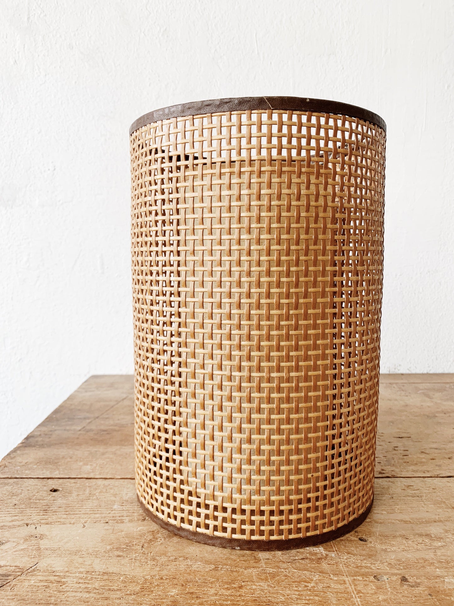 Vintage Double Lamp Shade