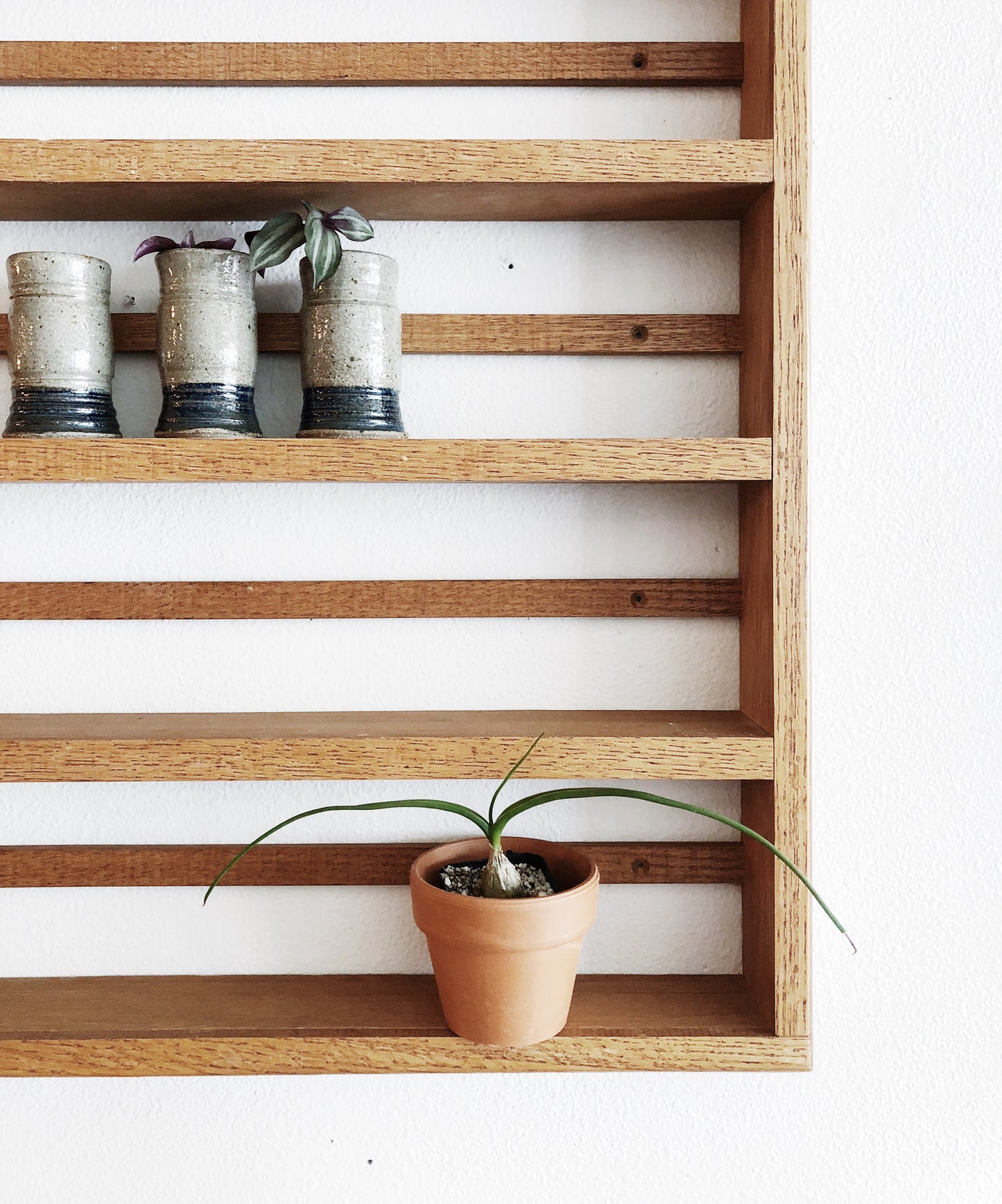 Vintage Wood Display Shelf