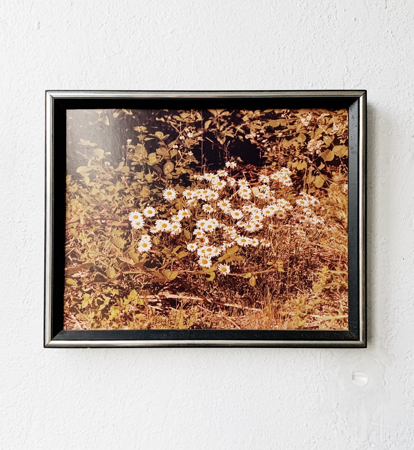 Vintage Framed Photo