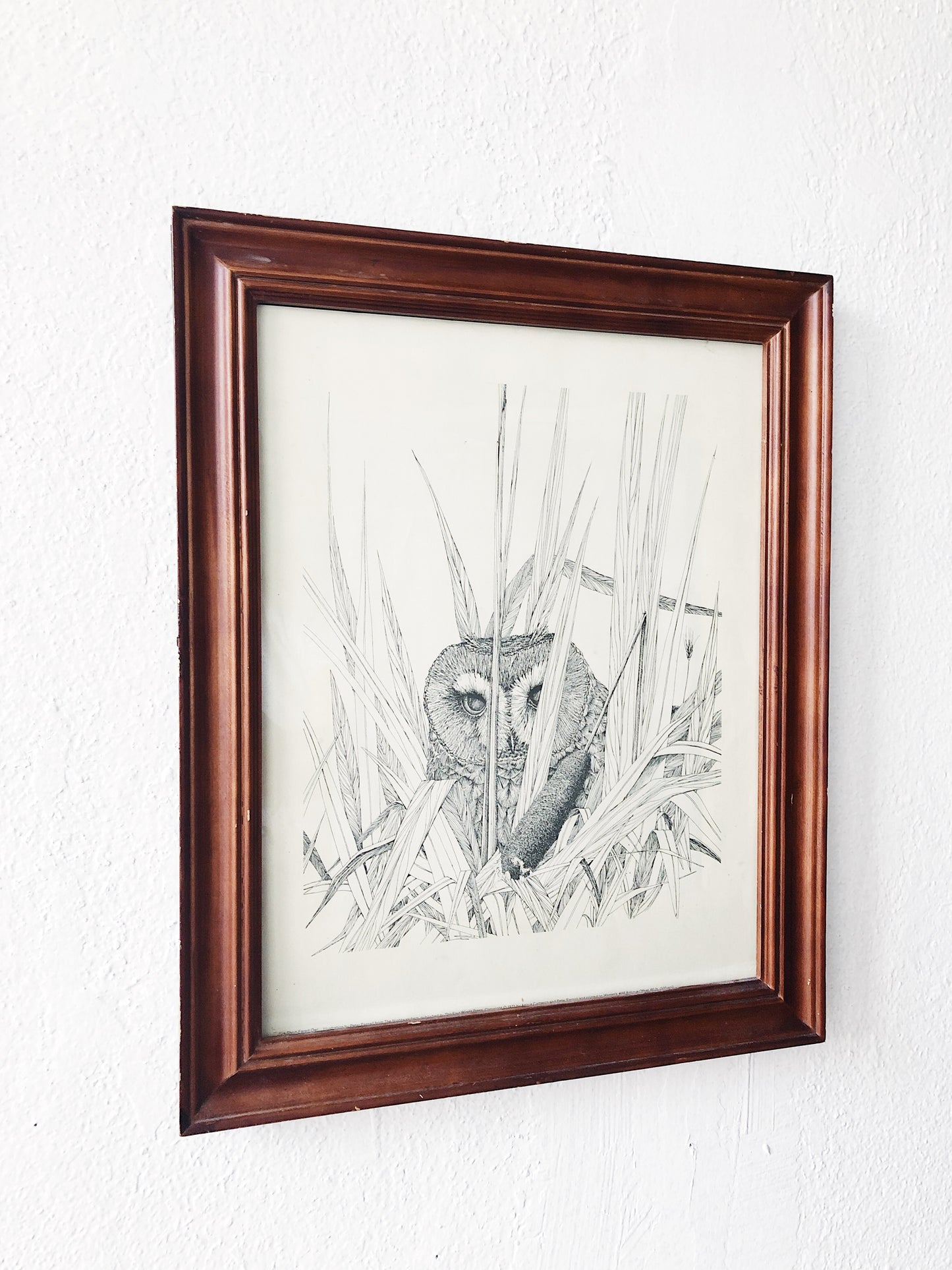 Vintage Parnell Framed Owl Illustration