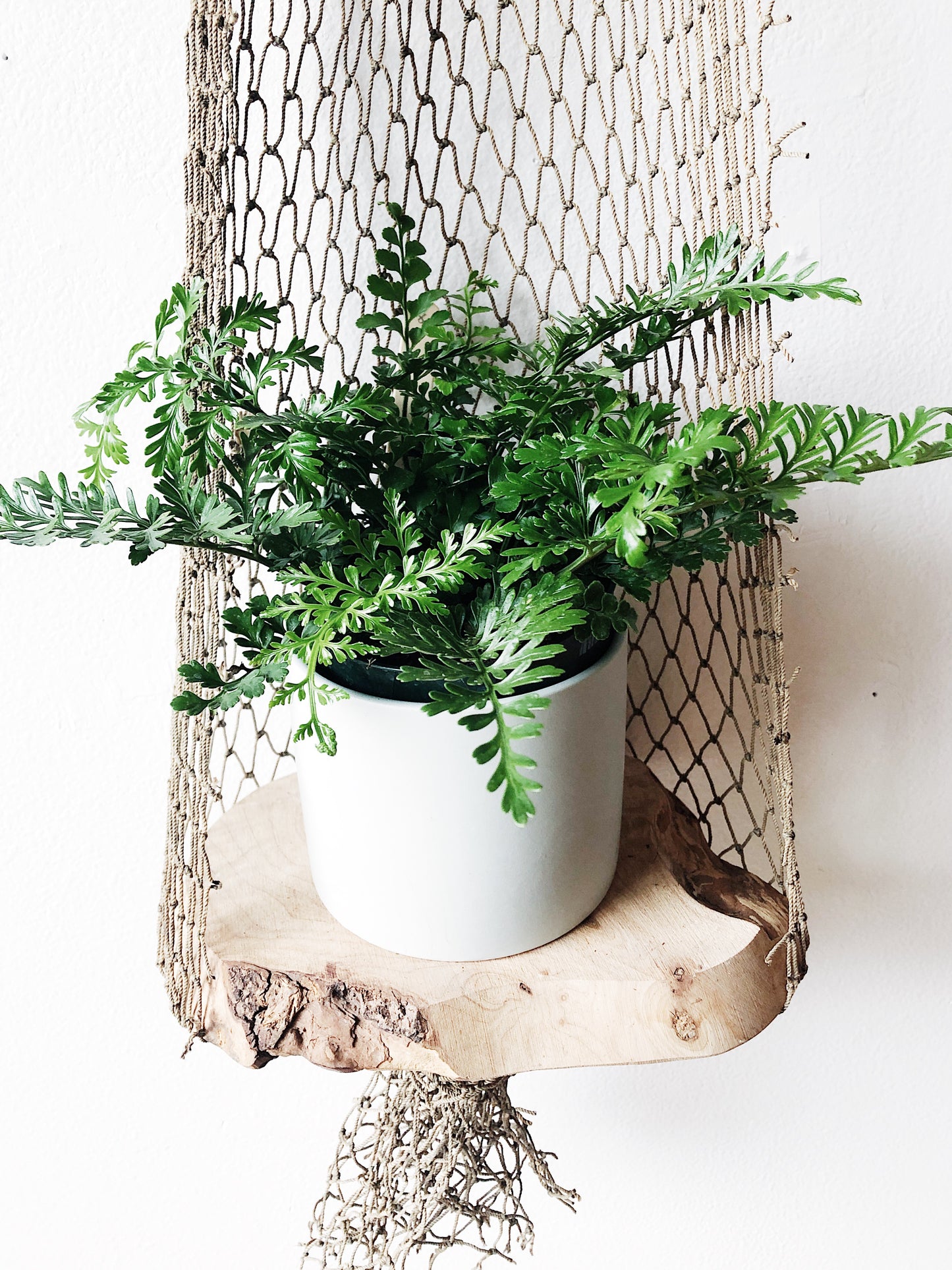 Vintage Net Hanger with Basket or Shelf
