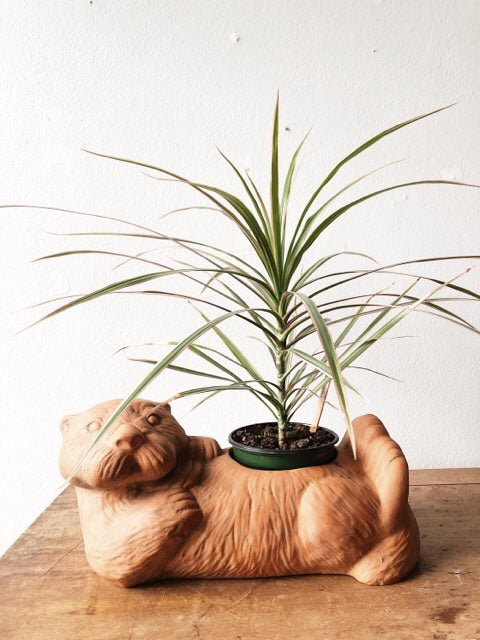 otter plant pot Clay Otter Planter