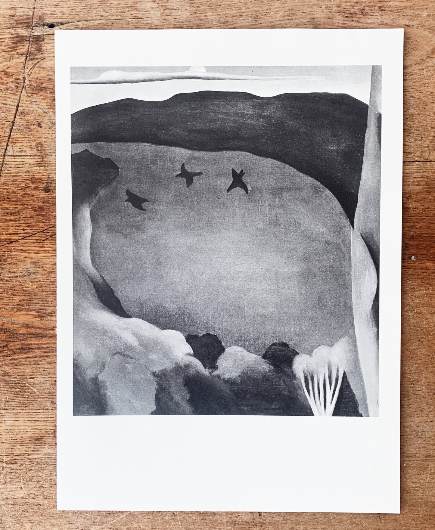 Vintage Georgia O’Keeffe Original 1970 Print