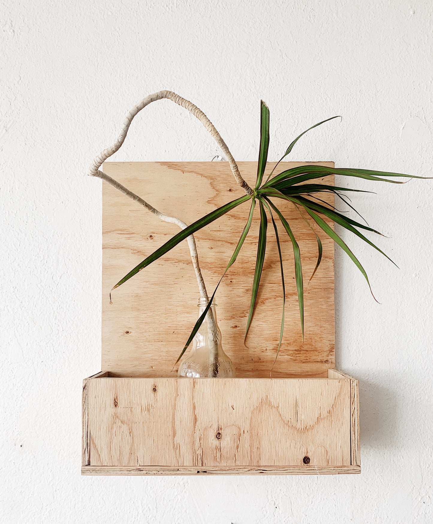 Handmade Ply Planter or Book Rack