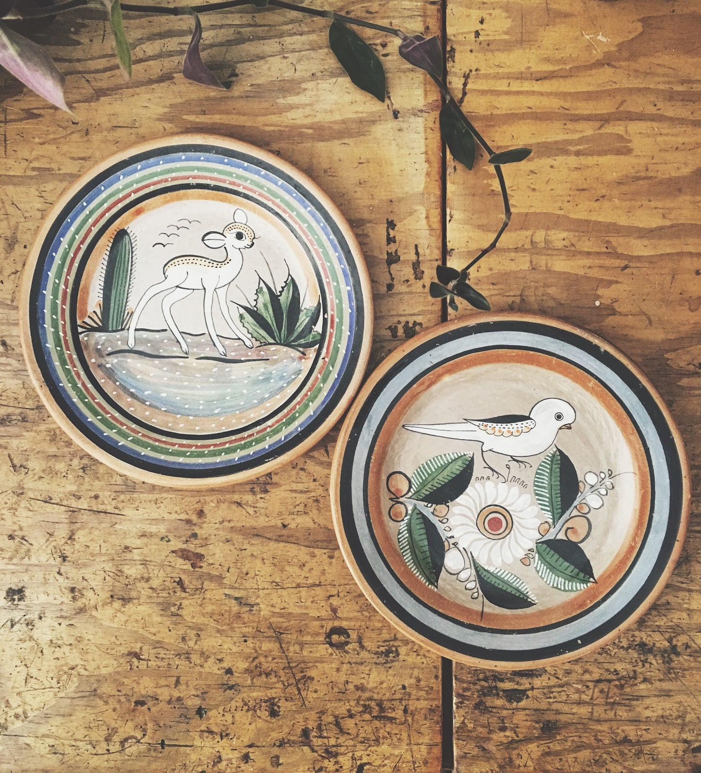 Hand Painted Clay Plates