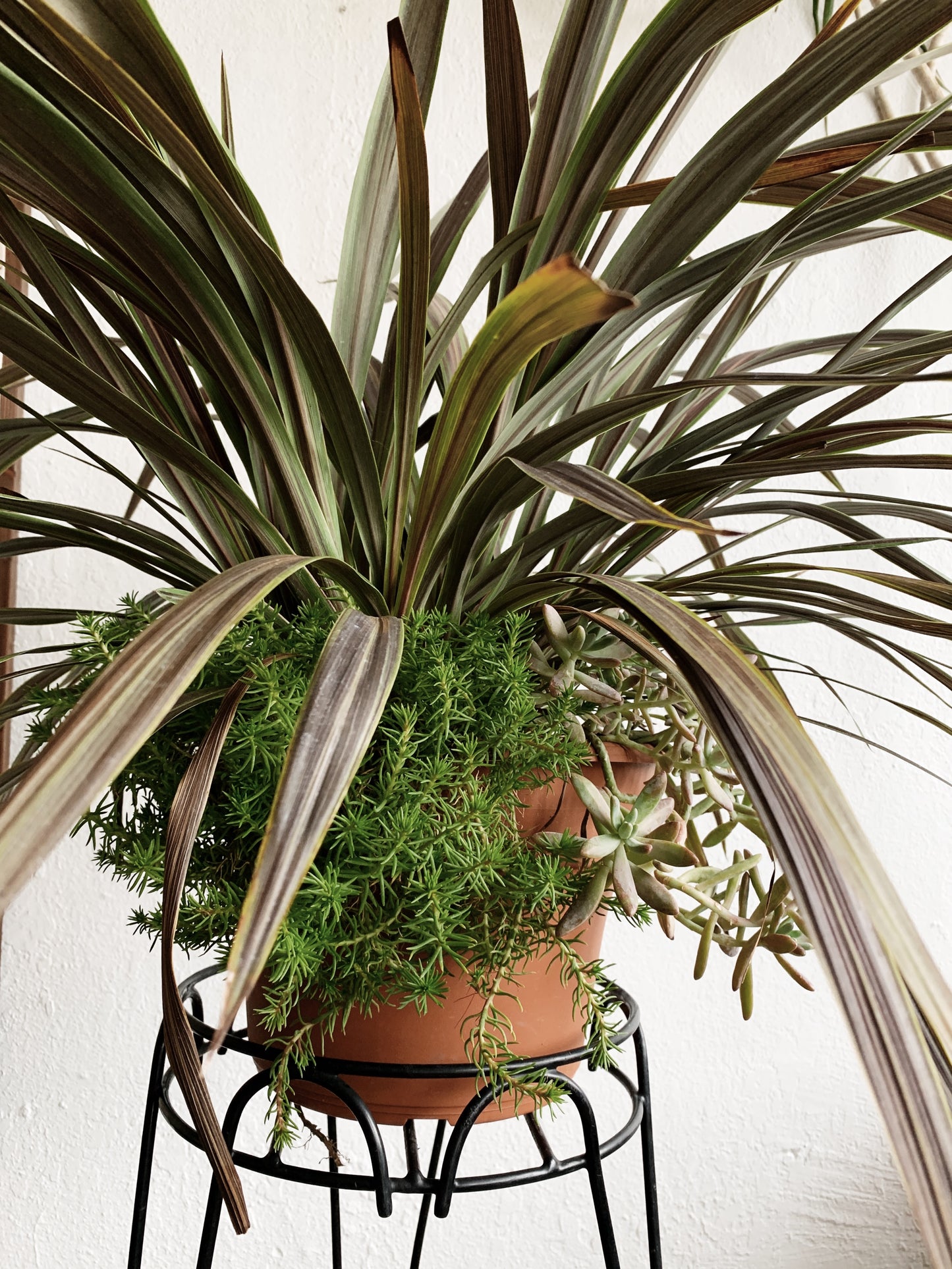 Potted Patio Planter with Stand