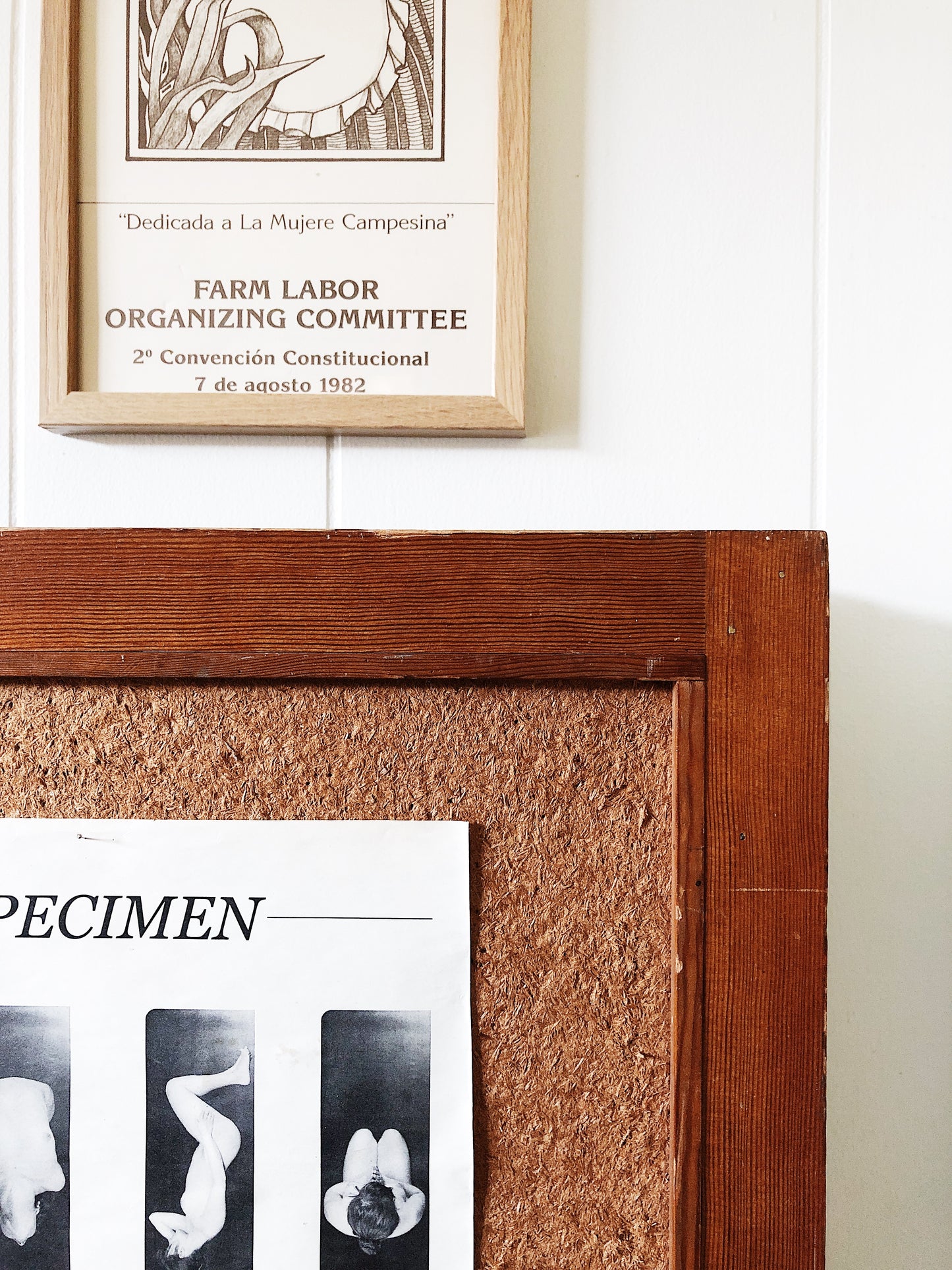 Vintage Half Height Room Divider Display