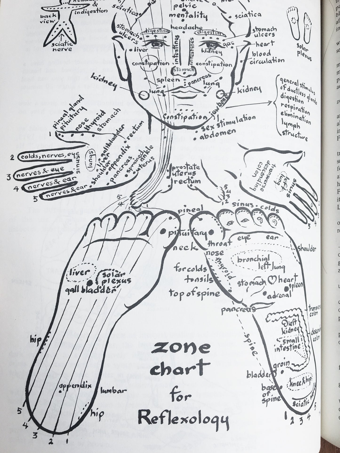 Survival in the 21st Century: Planetary Healers Guide