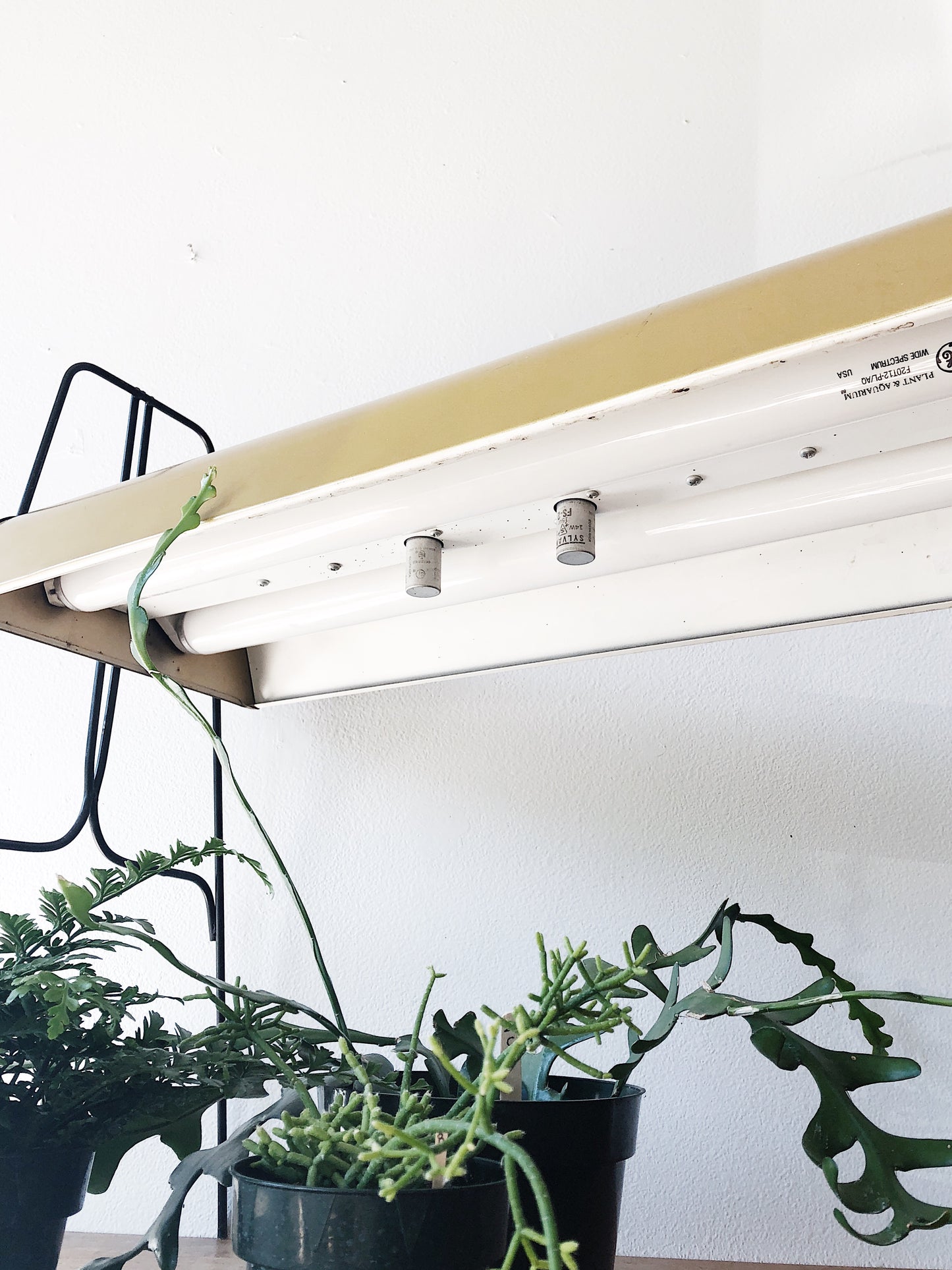 Vintage Grow Light