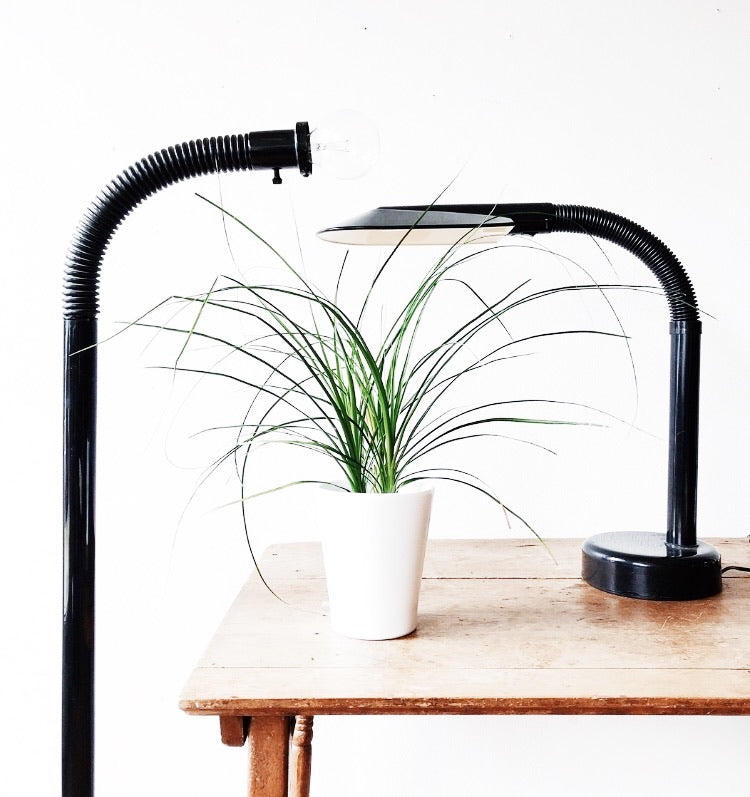 Vintage Fagerhults of Sweden Lamp