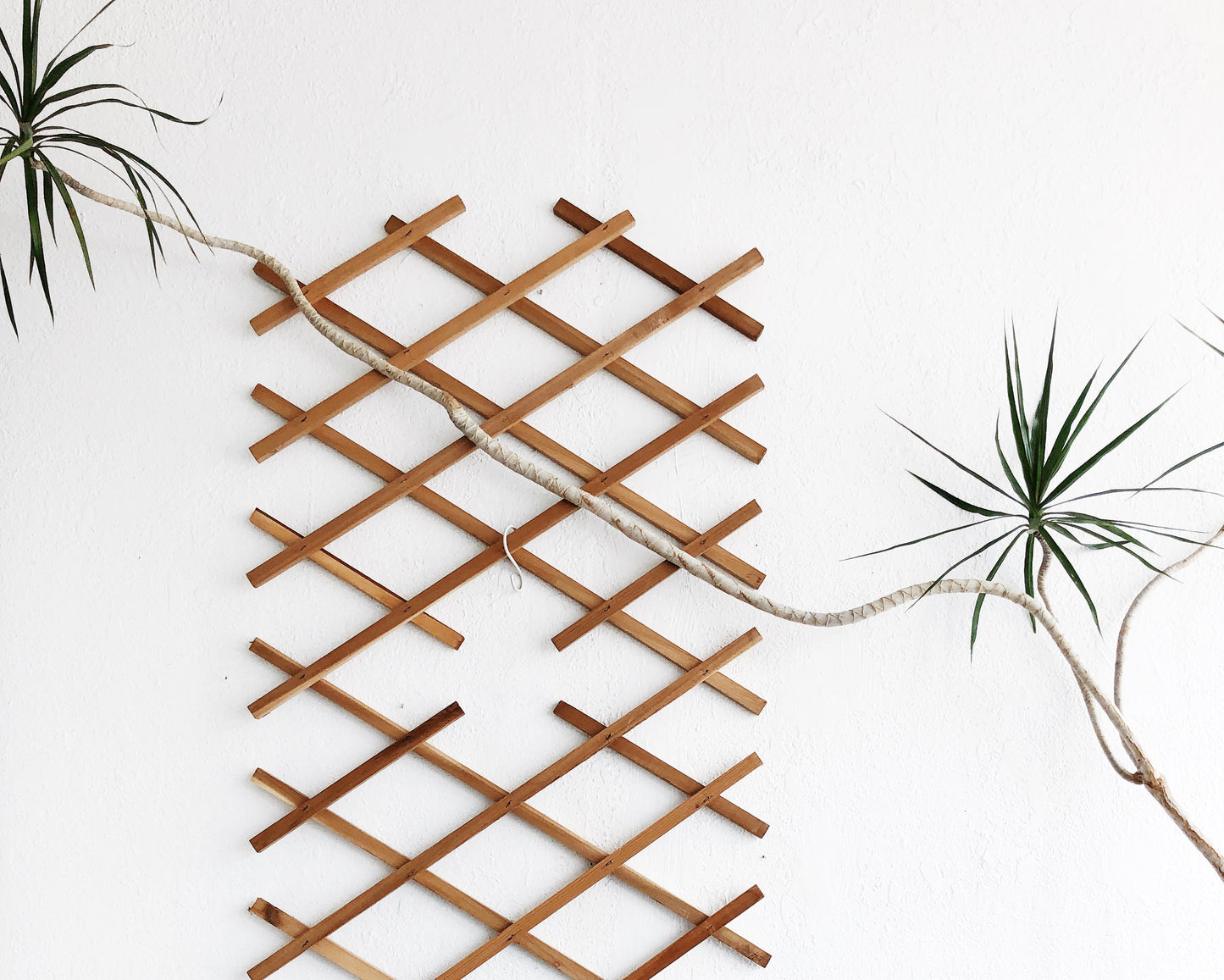 Vintage Expanding Grate