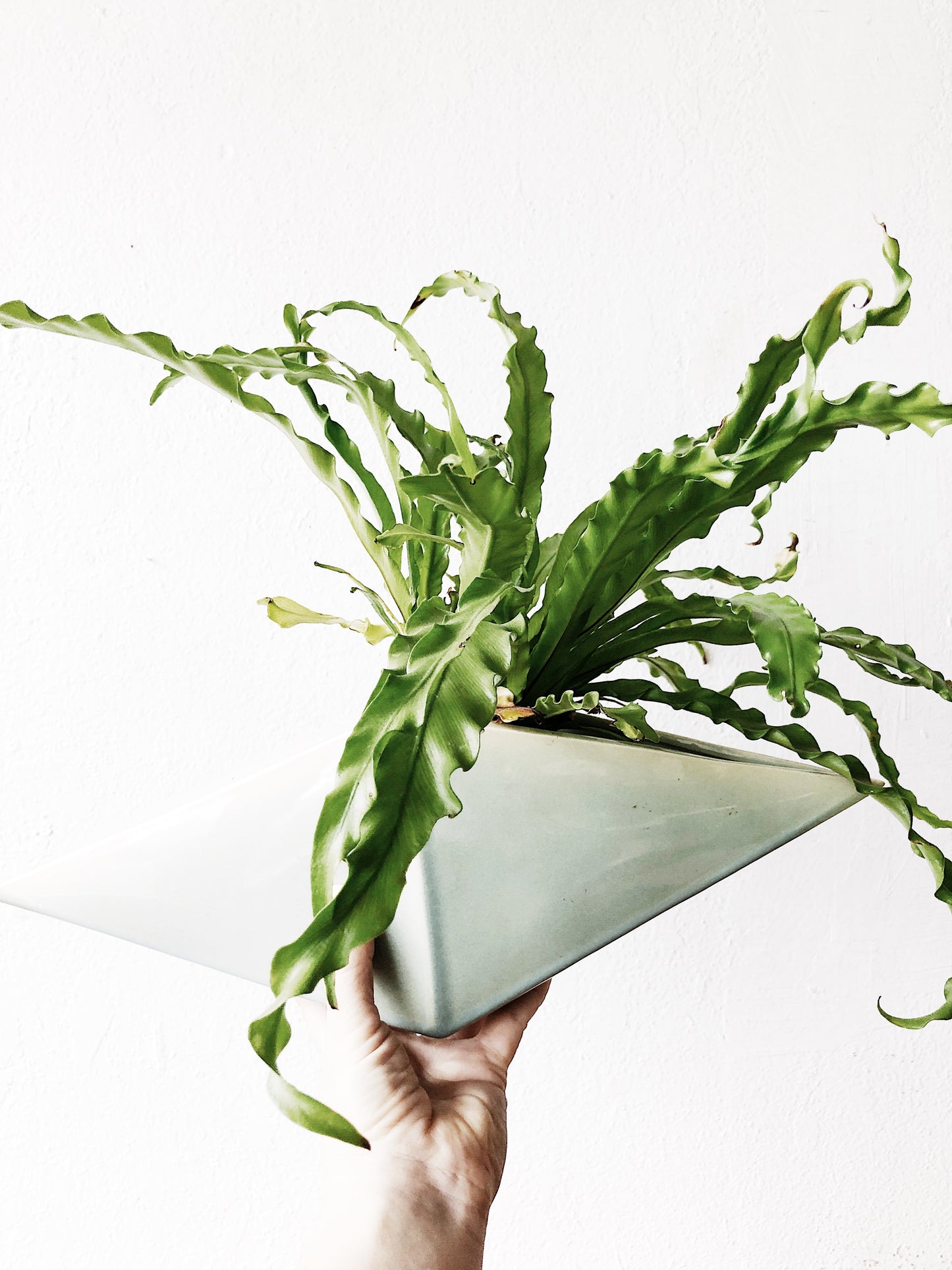 Ceramic Geo Planter