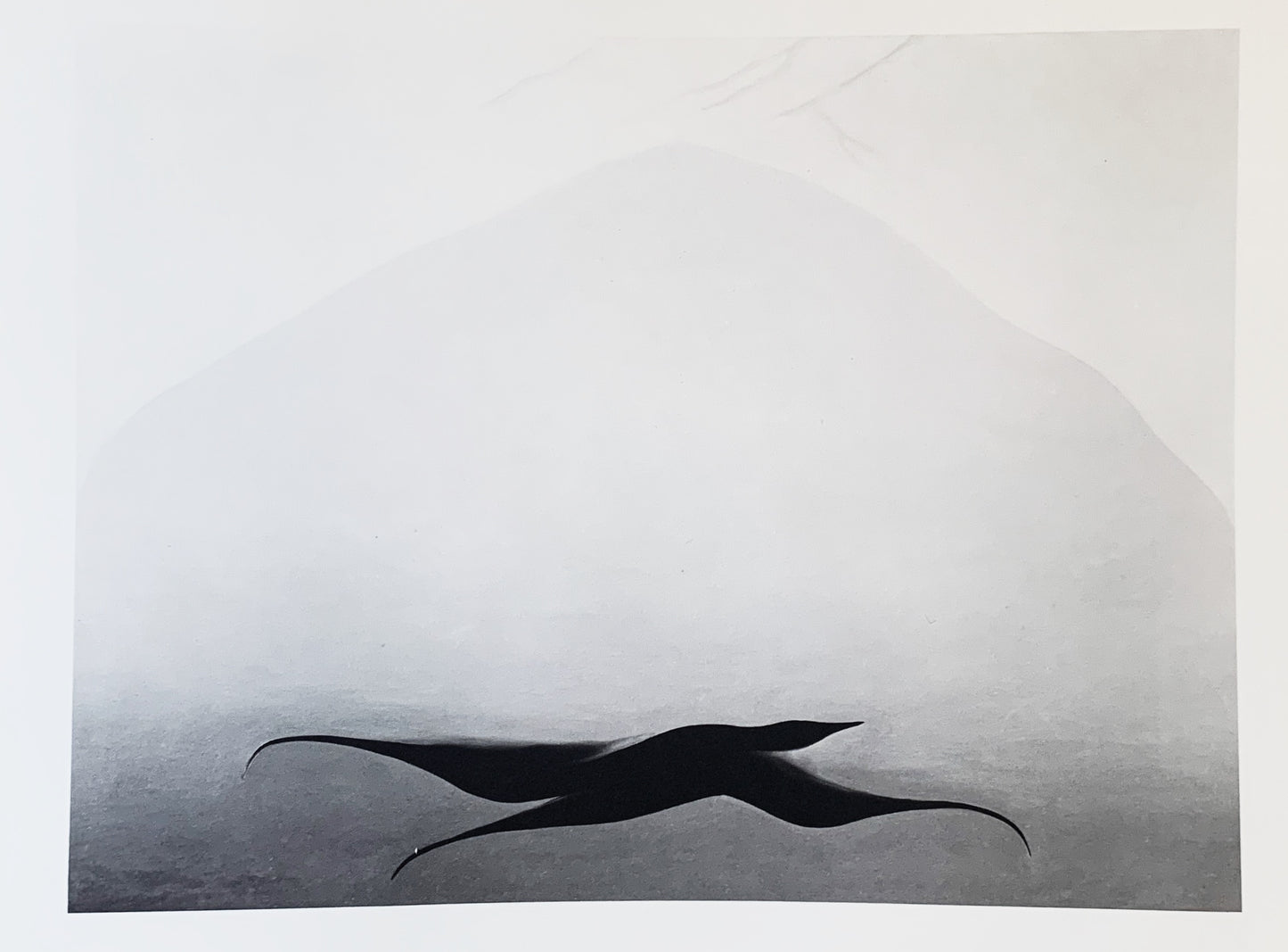 Vintage Georgia O’Keeffe Original 1970 Print