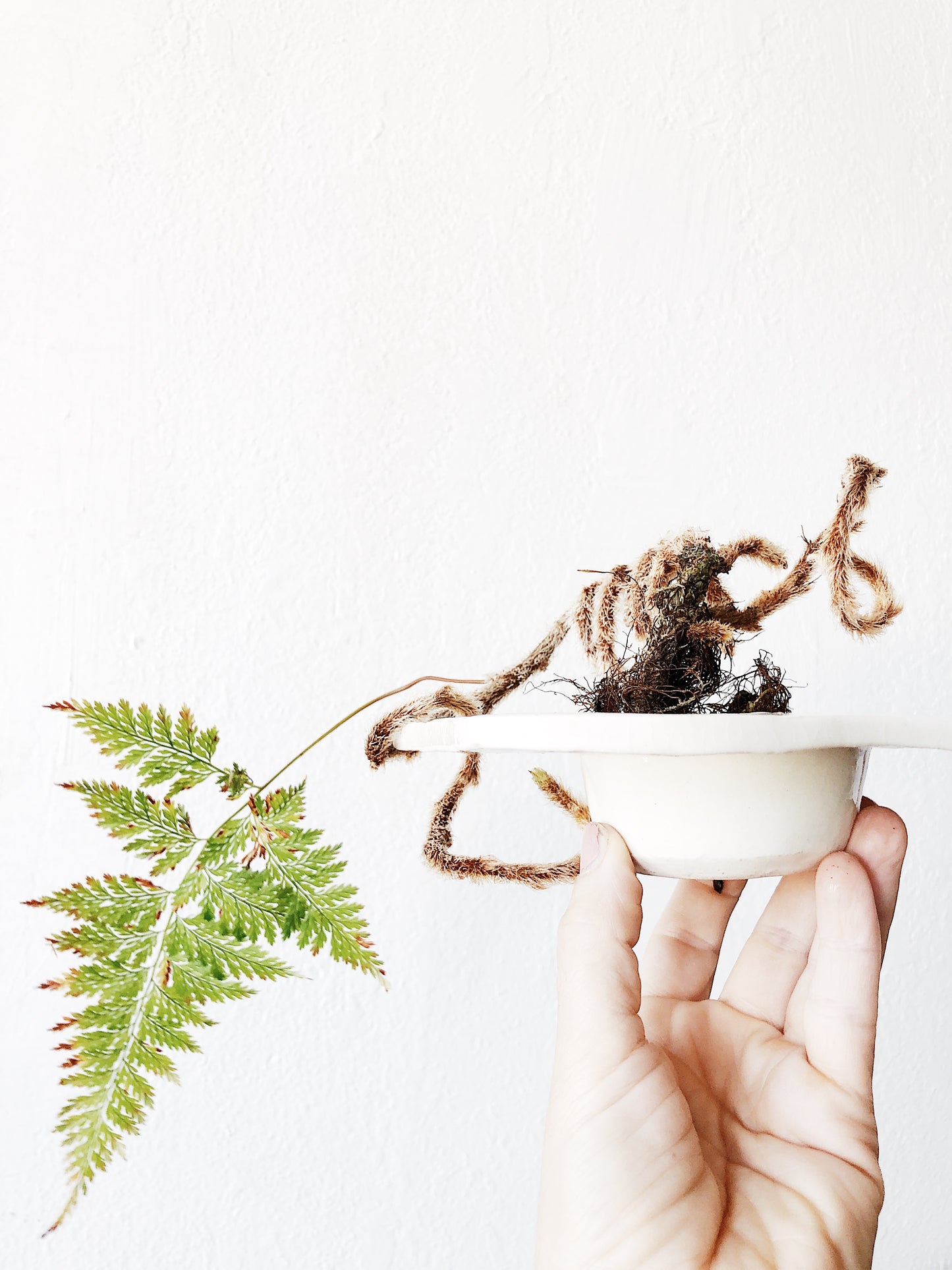 Ceramic Ikebana Style Flower Frog