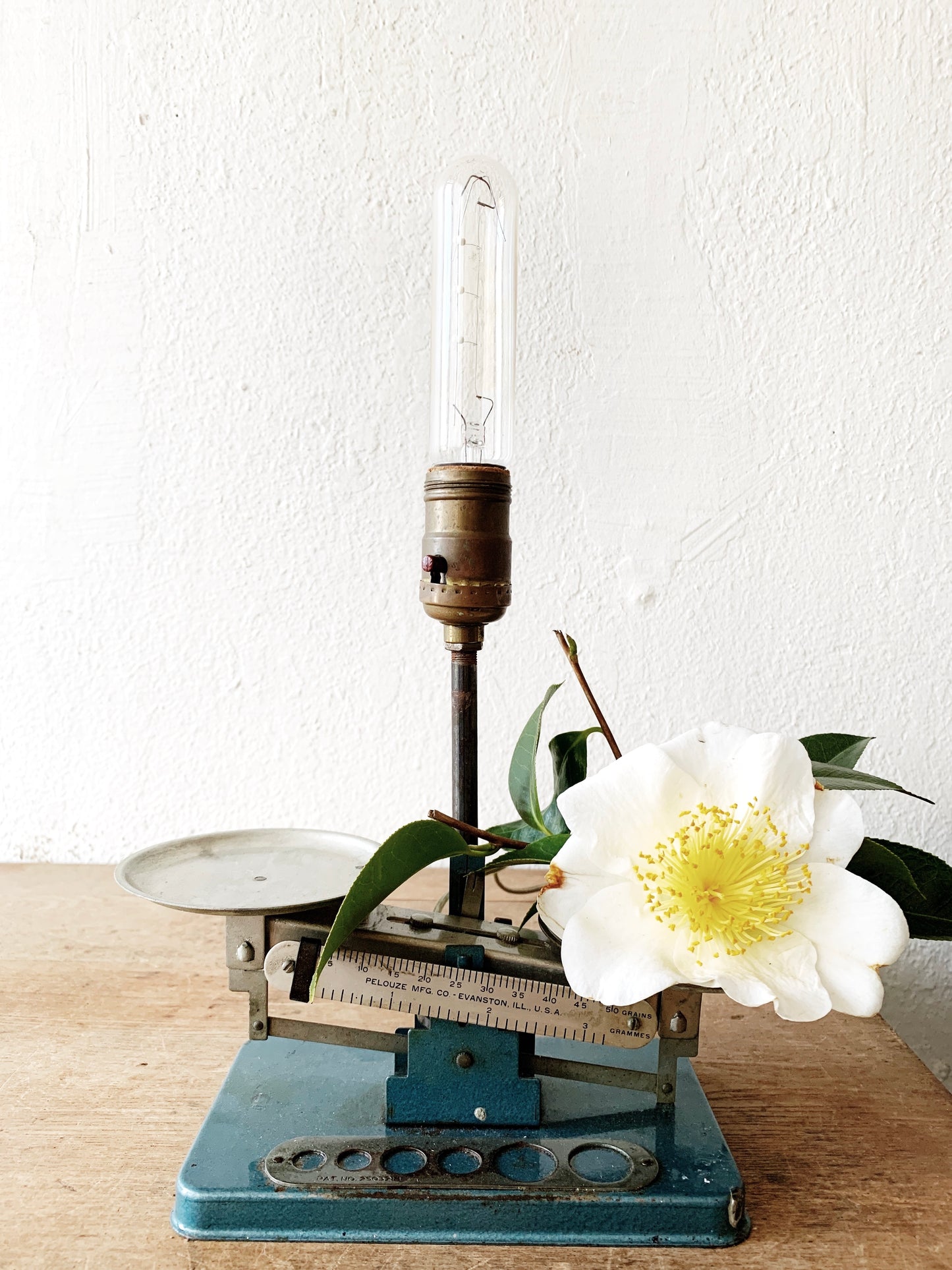 Handmade Scale Lamp
