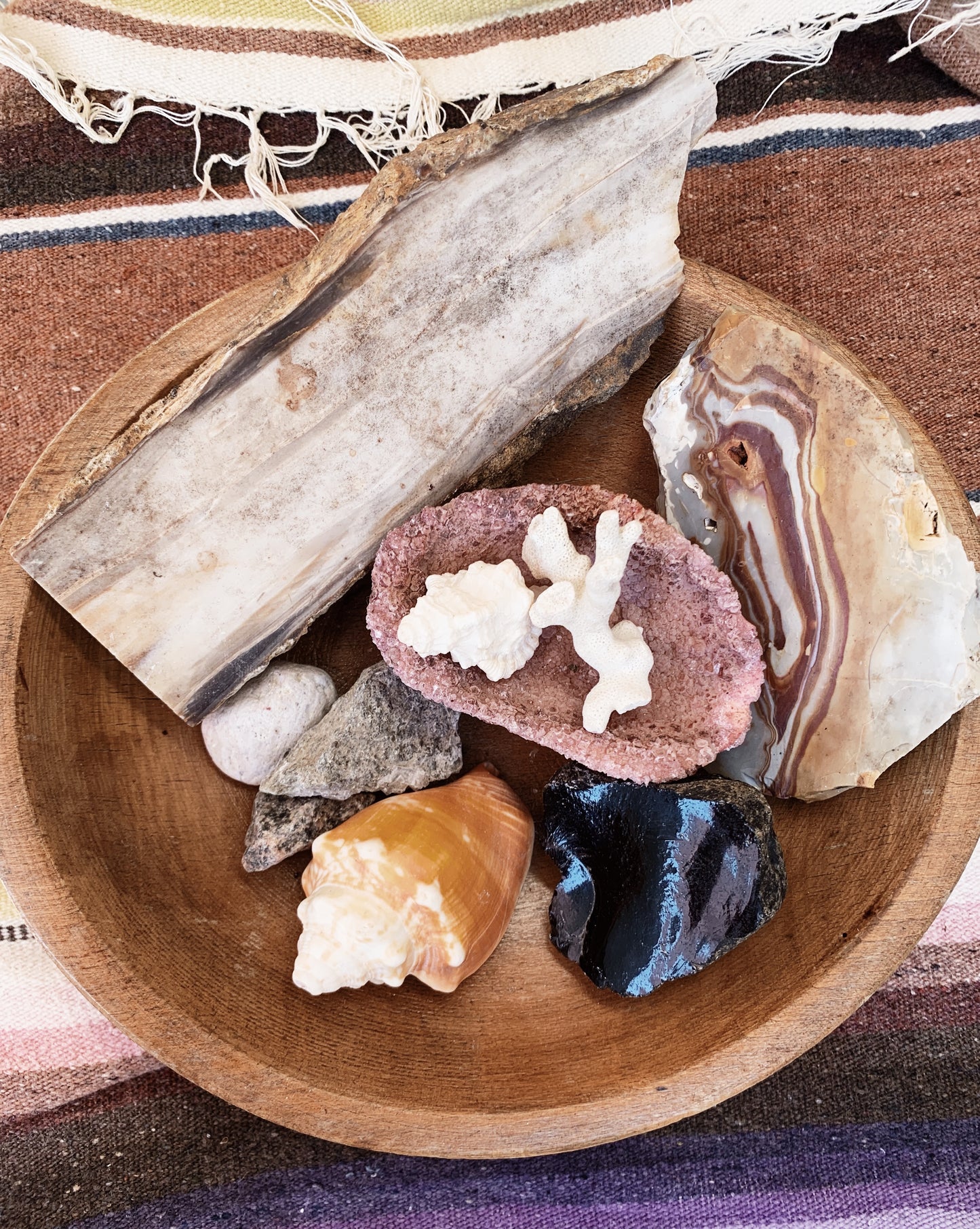 A Naturalists Collection