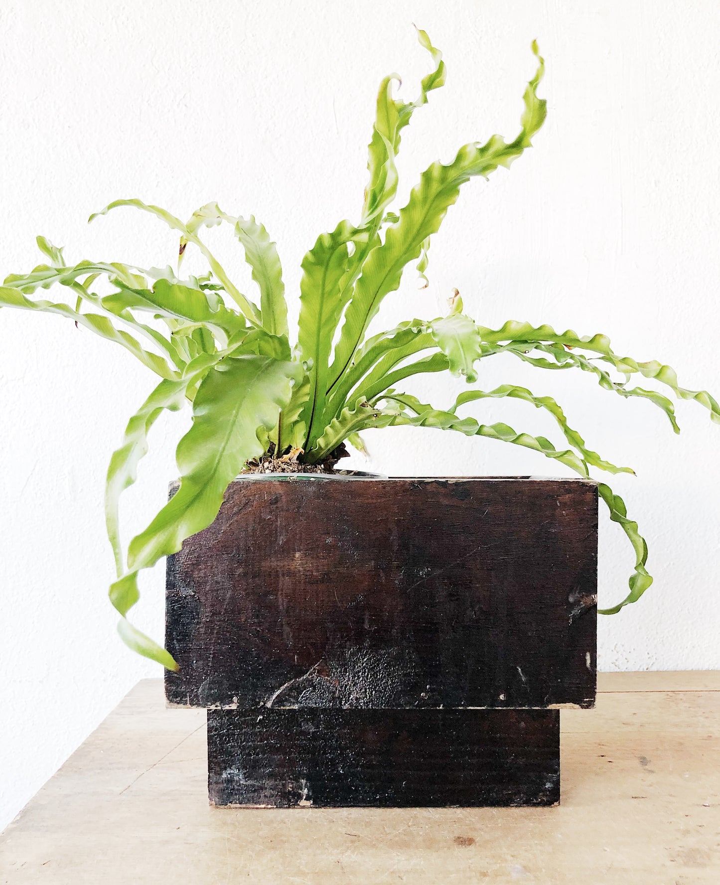 Primitive Wood Planter