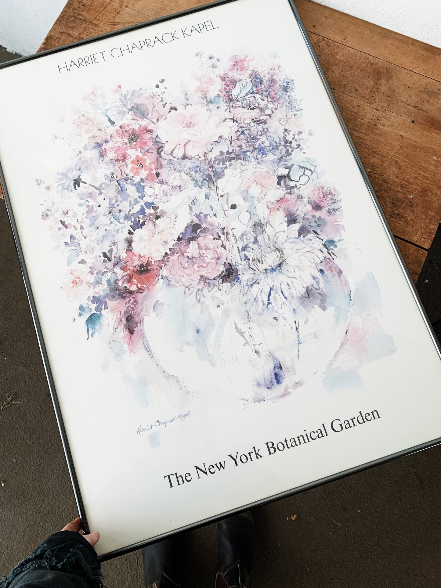 Large Vintage Framed Botanical Poster