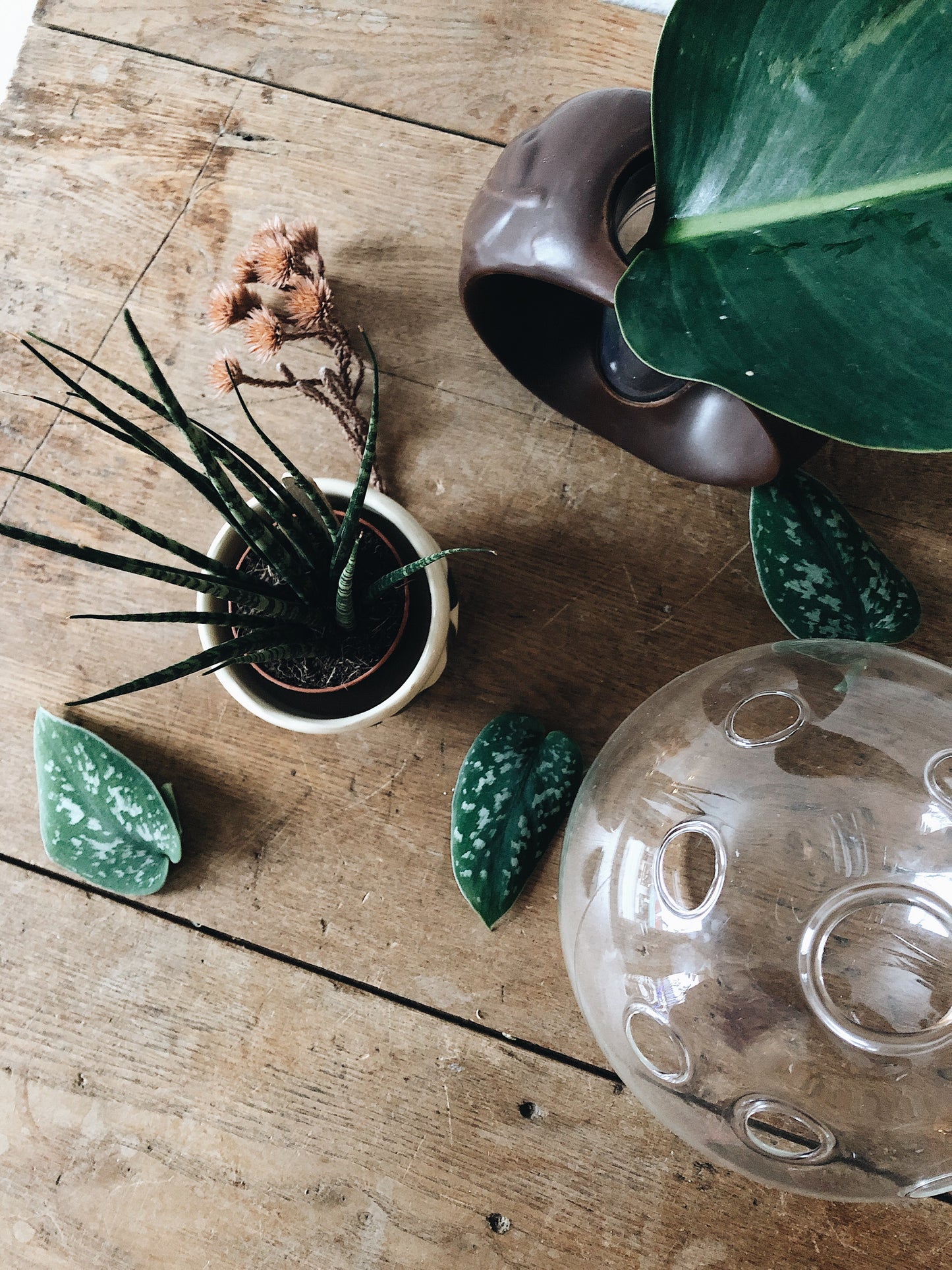 Blown Glass Multi Propagation Vase