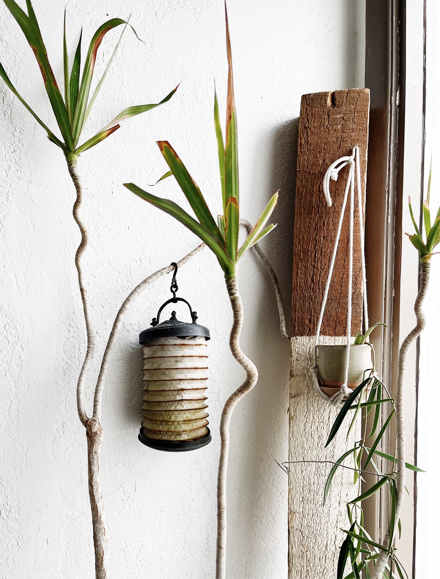 Antique Lantern