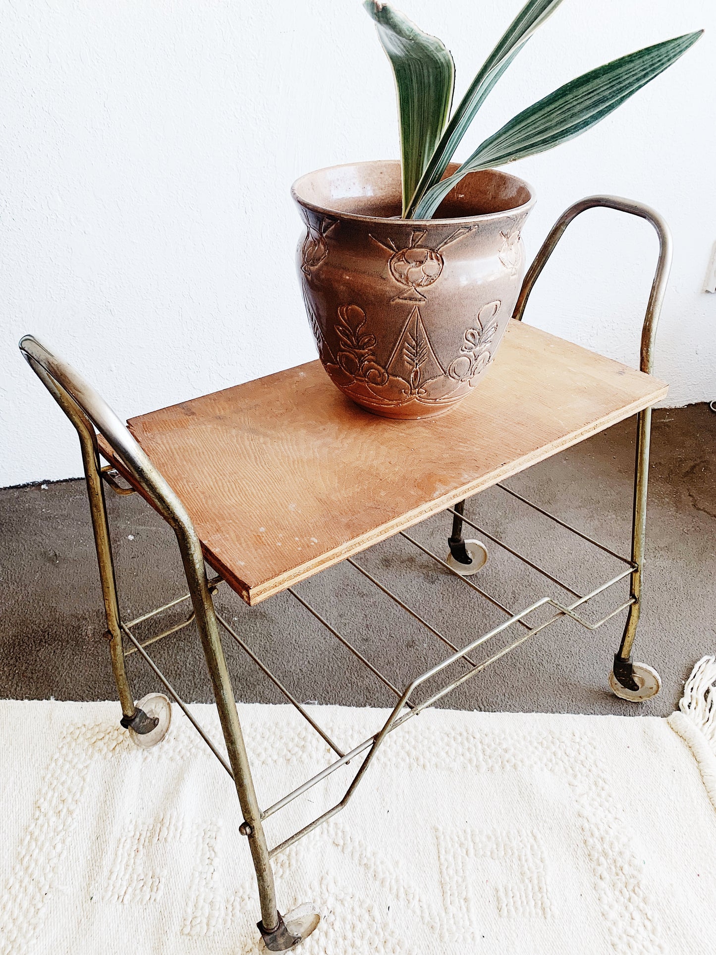 Mid Century Metal Rolling Rack with Wood Top