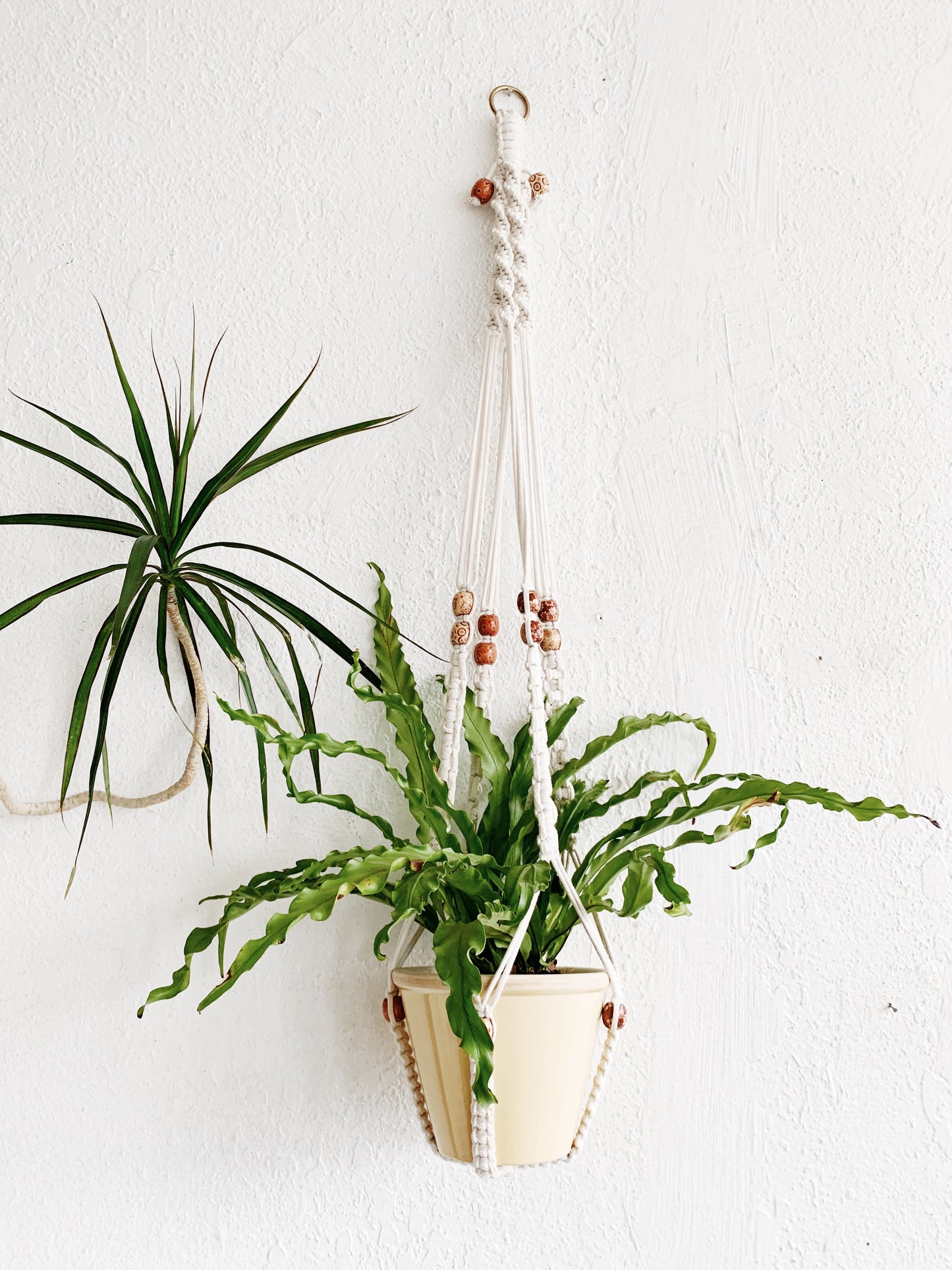 Cotton Macrame Hanger with Pot