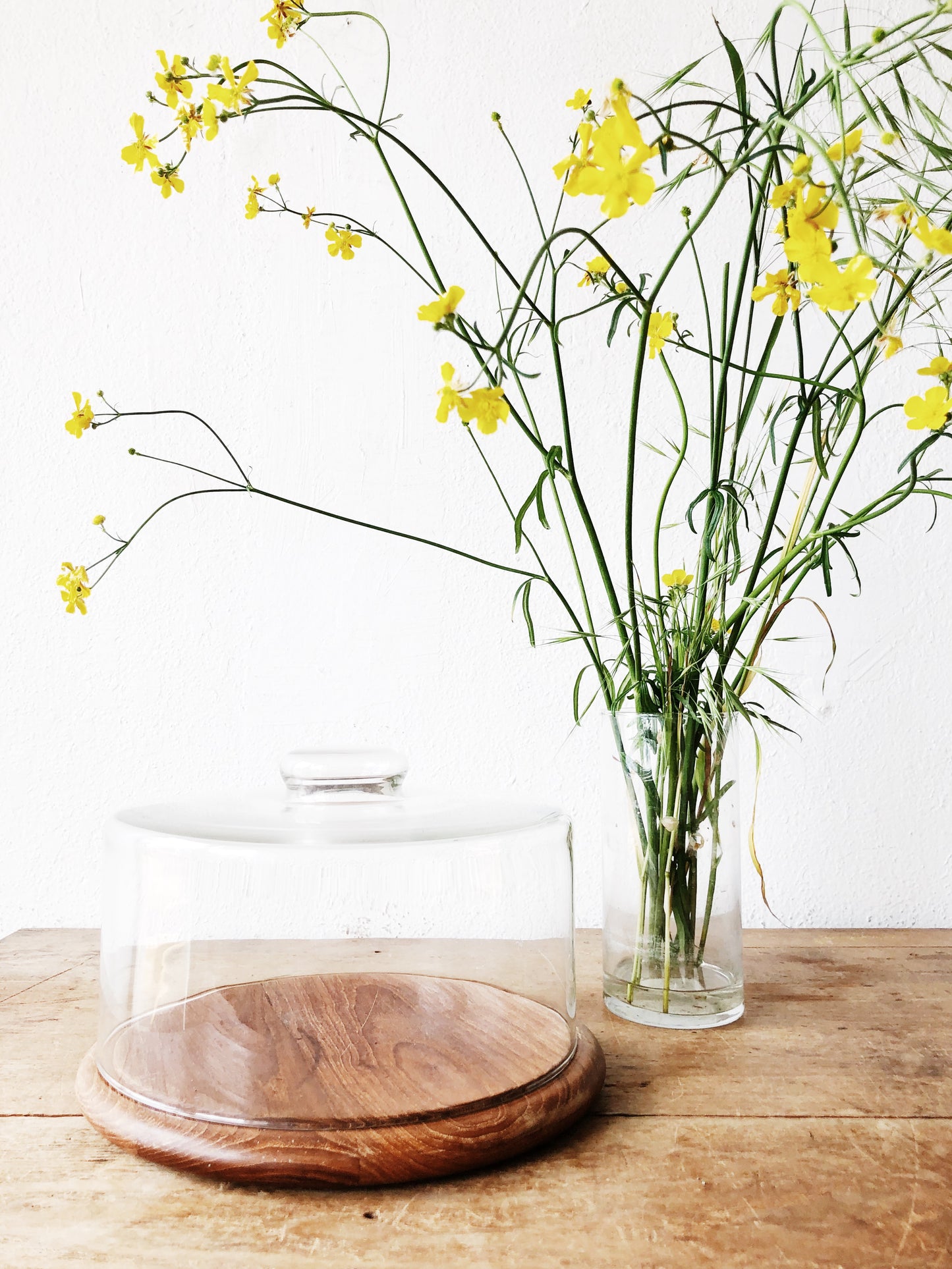 Vintage Teak Pastry Dome