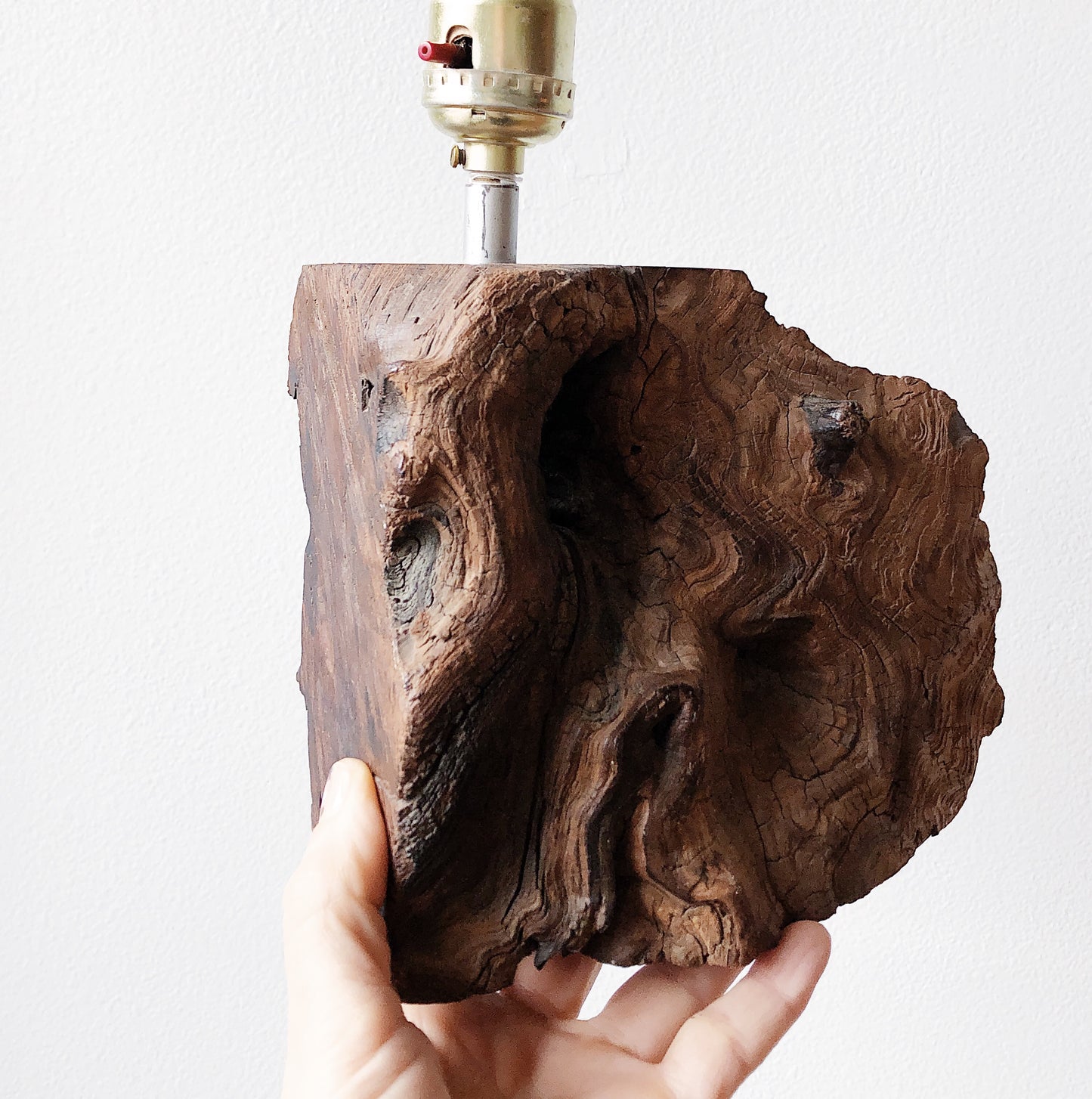 Vintage Burl Wood Lamp
