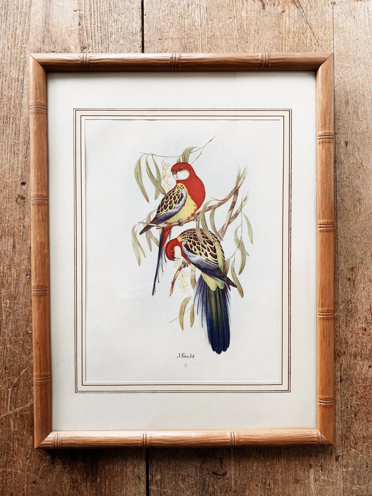 Vintage J Gould Litho Pair