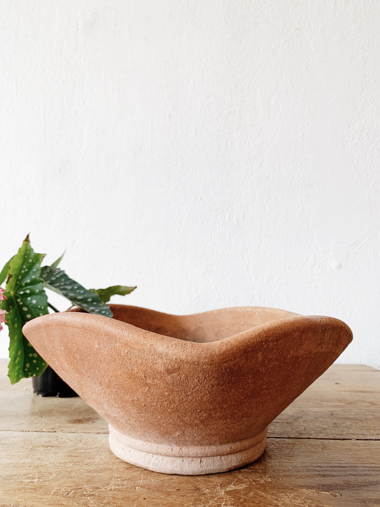 Terra Cotta Planter