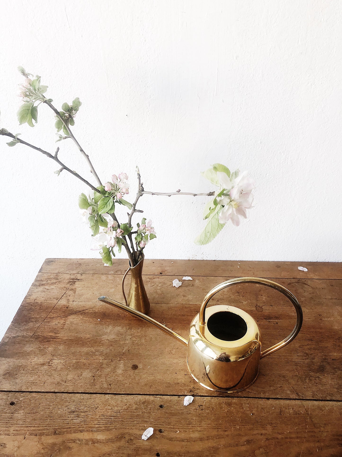 Brasstone Watering Can