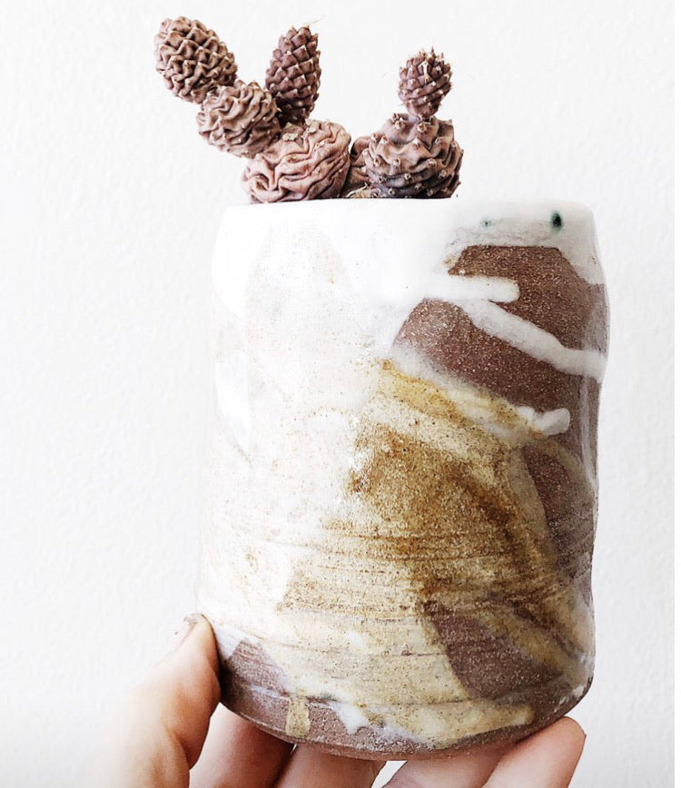 Pink Obesa Cactus in Vintage Pot