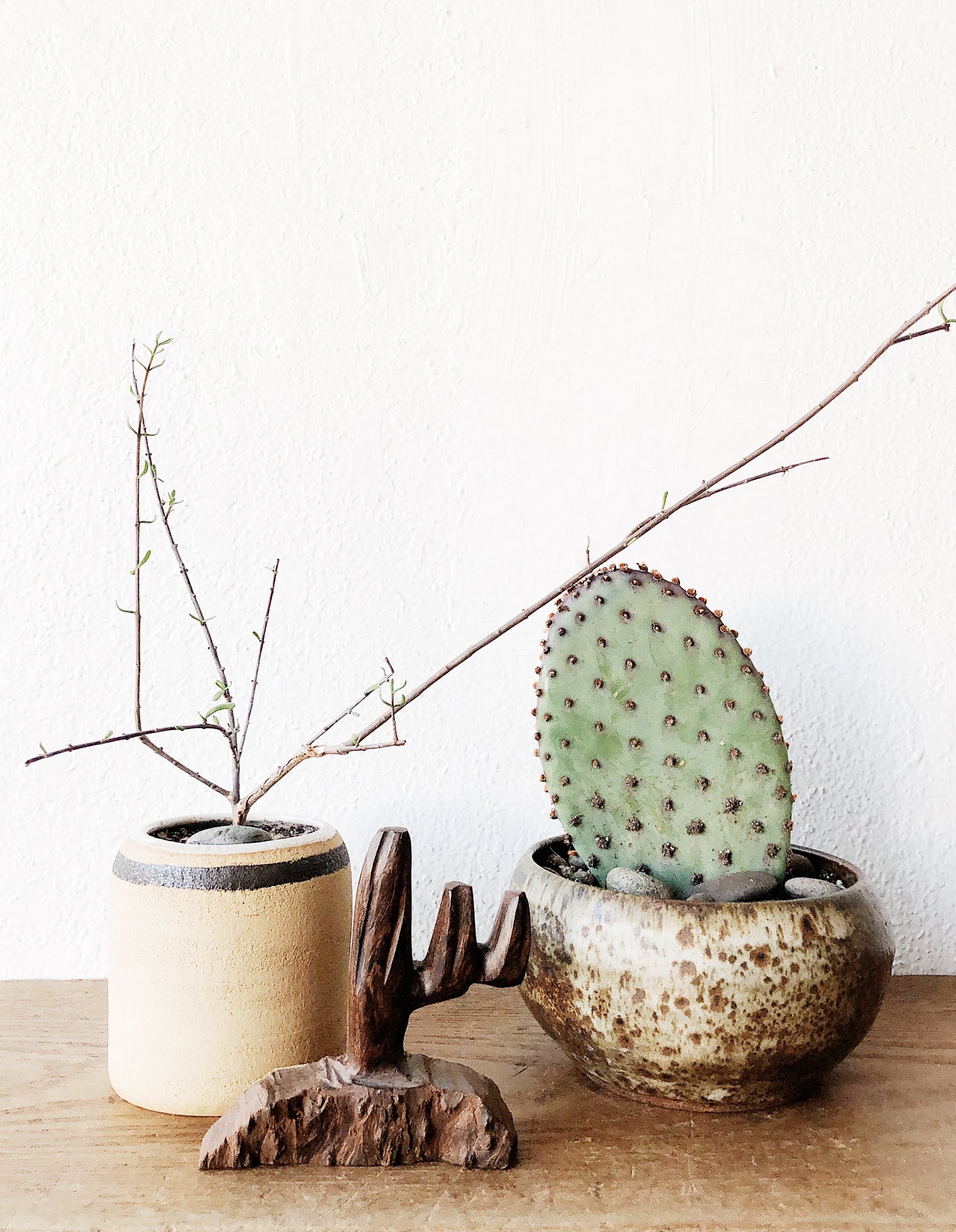 Petite Windswept Wood Cactus