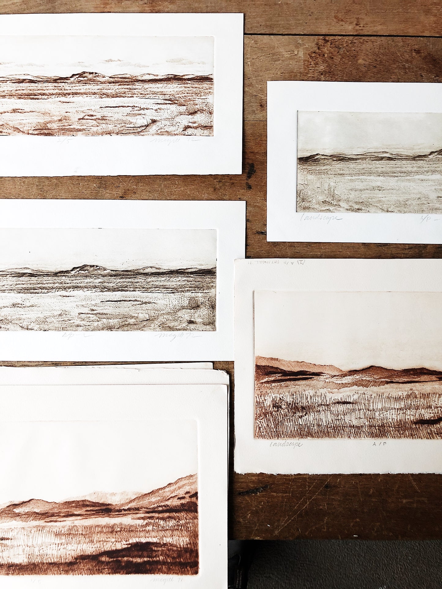 Vintage Original High Desert Etching