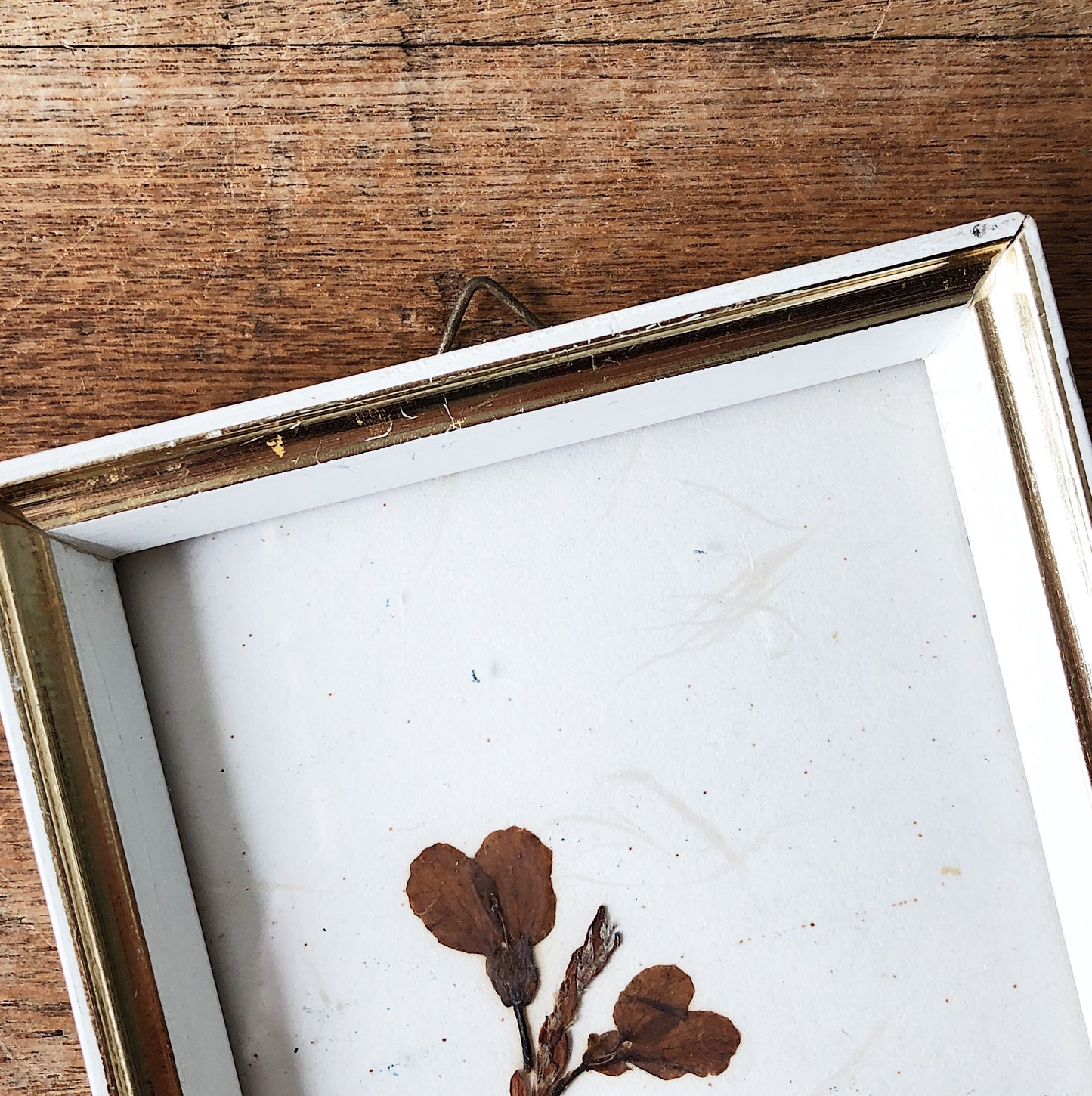 Vintage W German Pressed Floral Artwork Pair