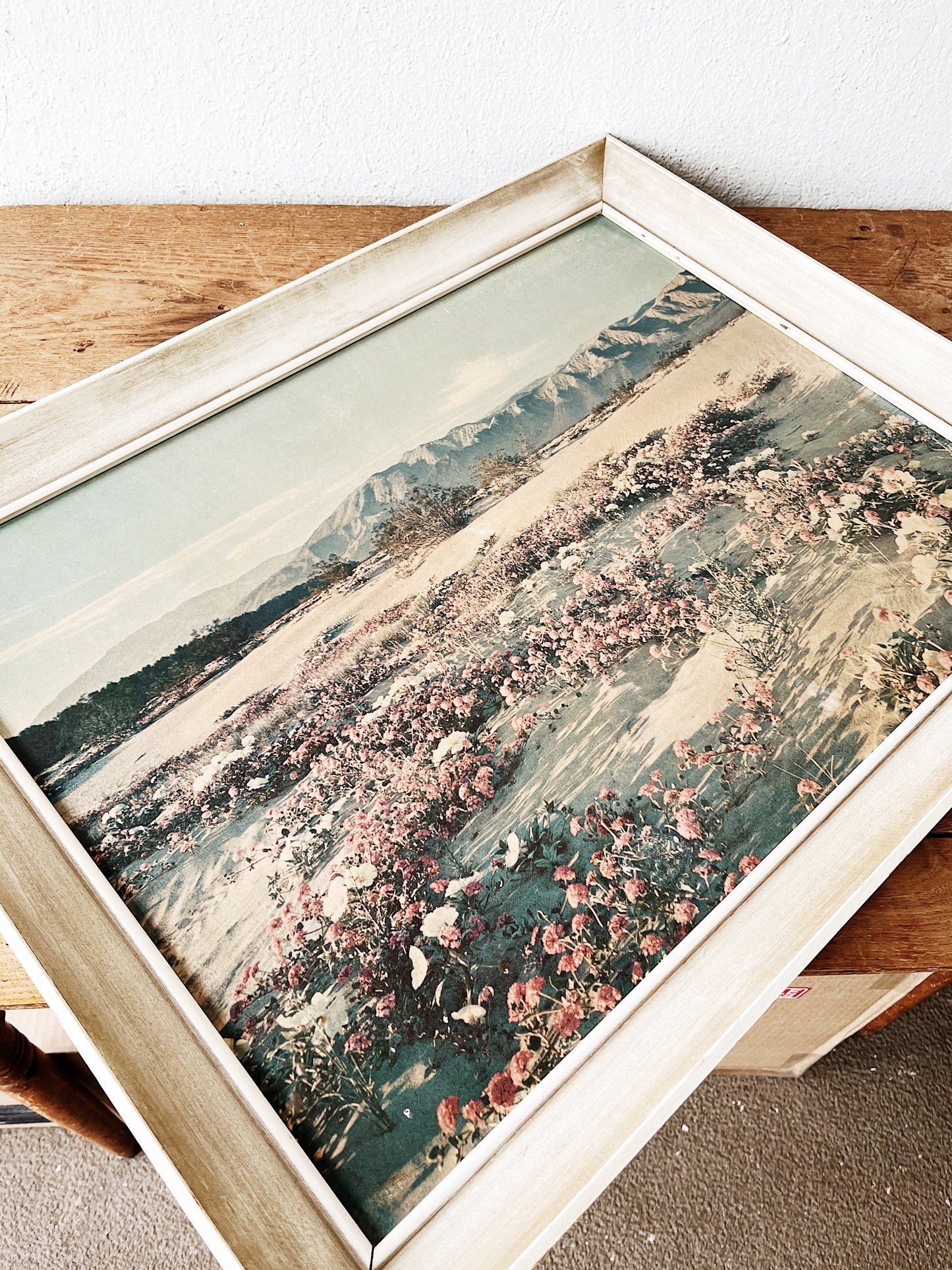 Vintage Desert Lithograph