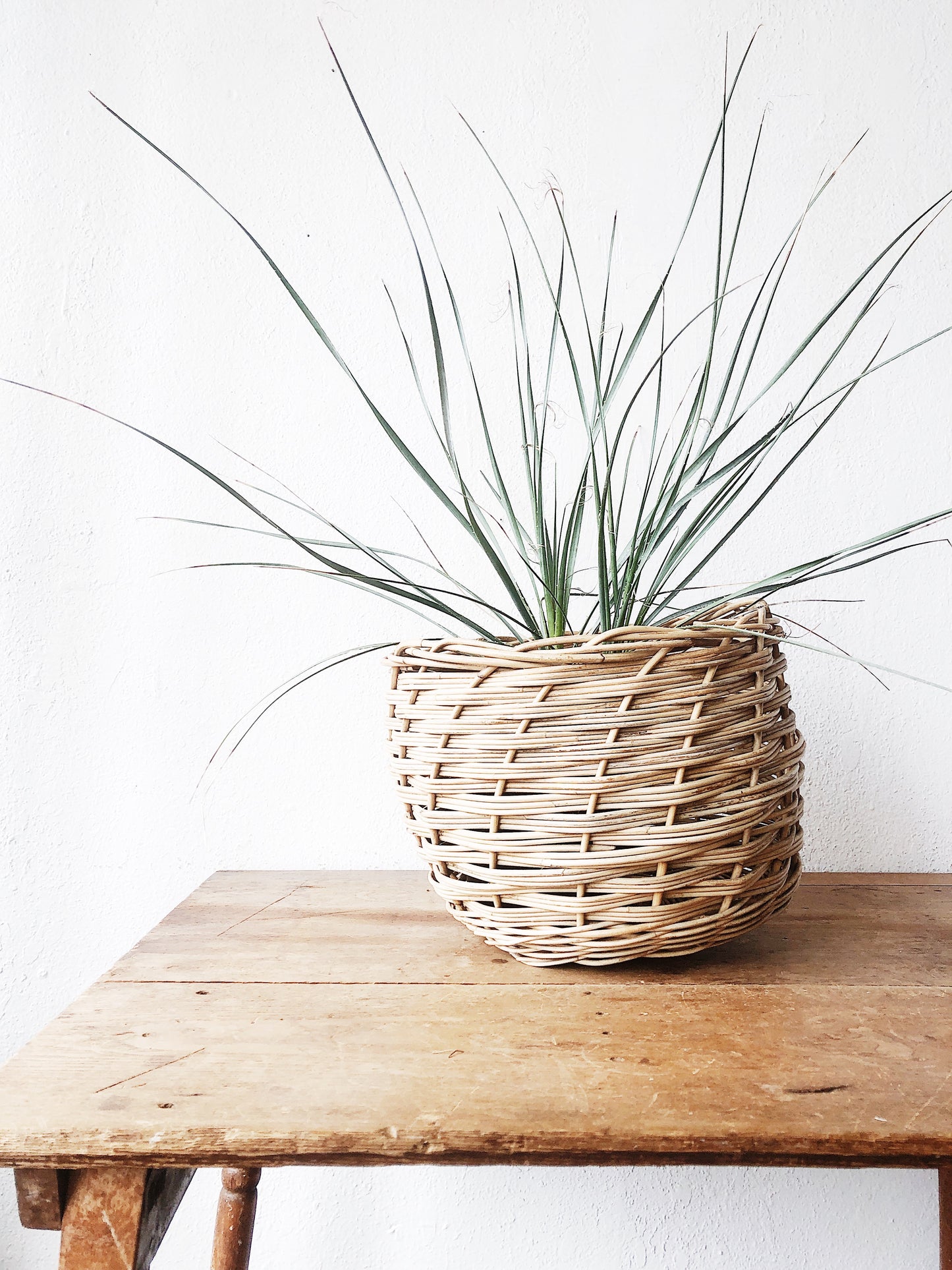 Handmade Vine Basket