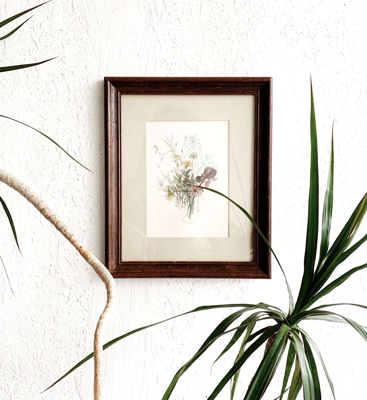 Vintage Mary Lou Goertzen Botanical Print