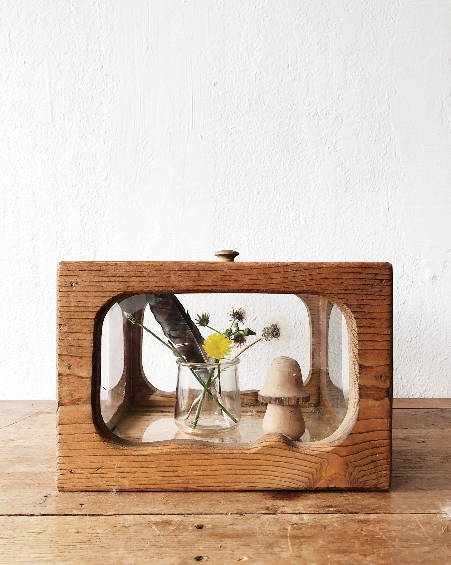 Vintage Wooden Terrarium with Mushroom