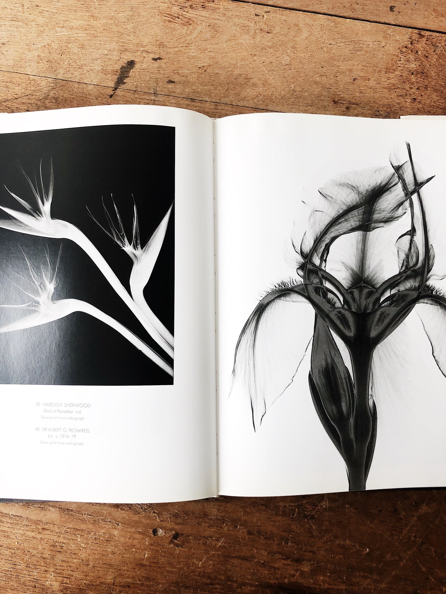 Flora Photographica Vintage Art Book